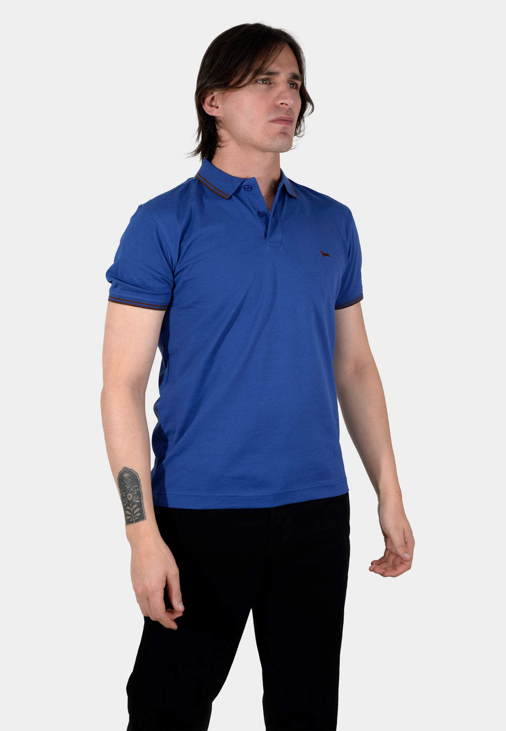 CAMISETA POLO HARMONT AZUL ALGOD (LNK010021148-805)