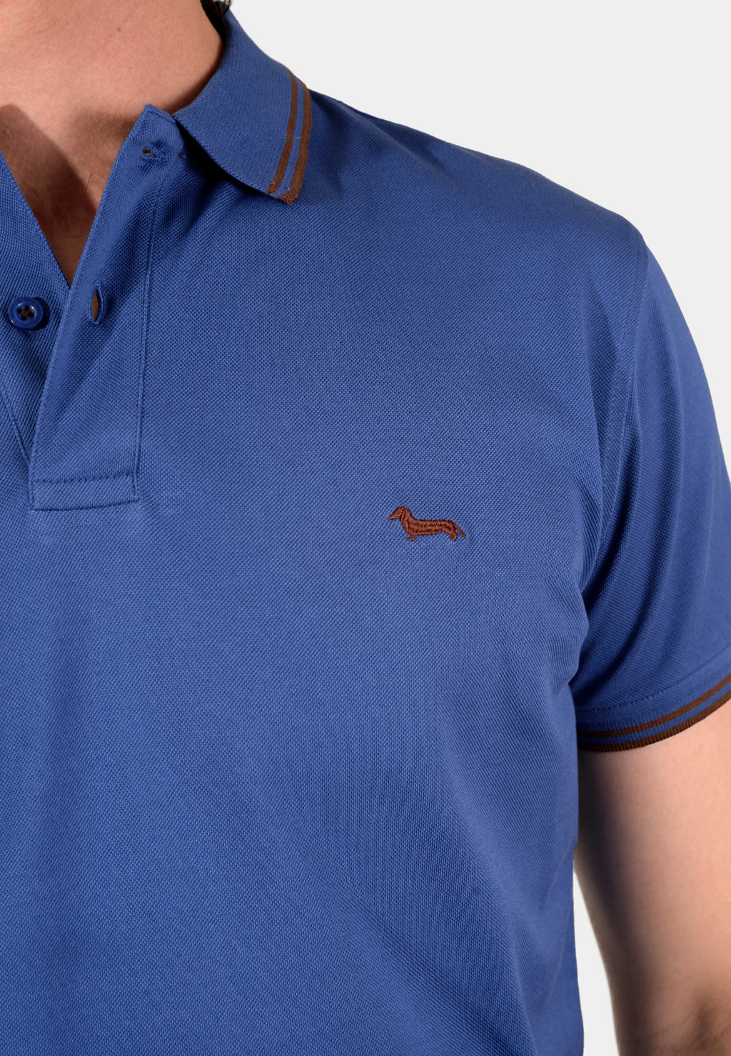 CAMISETA POLO HARMONT AZUL ALGOD (LNK010021148-805)