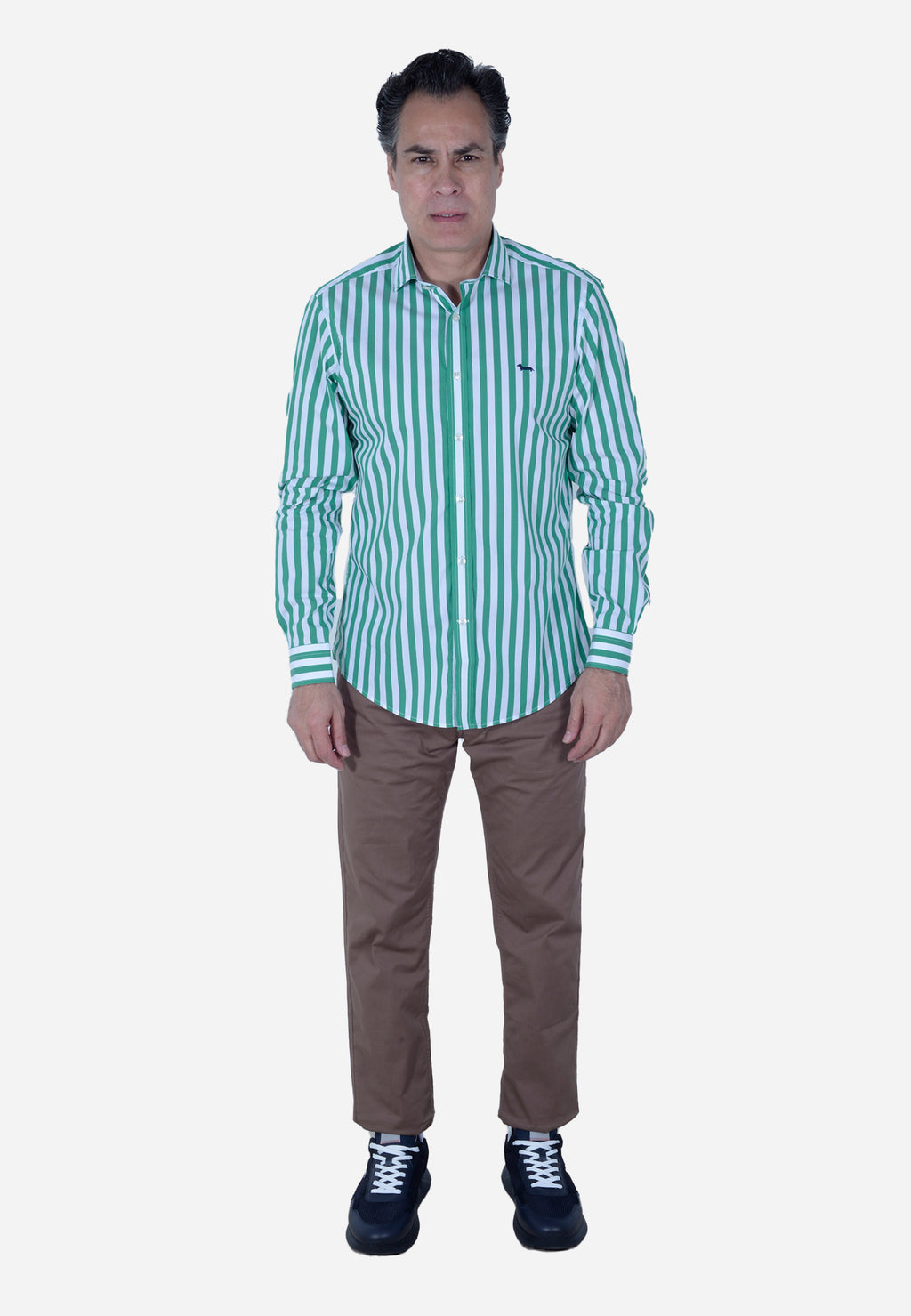 CAMISA HARMONT & BLAINE VERDE RAYAS ALGODÓN (CNL069011993I-646)