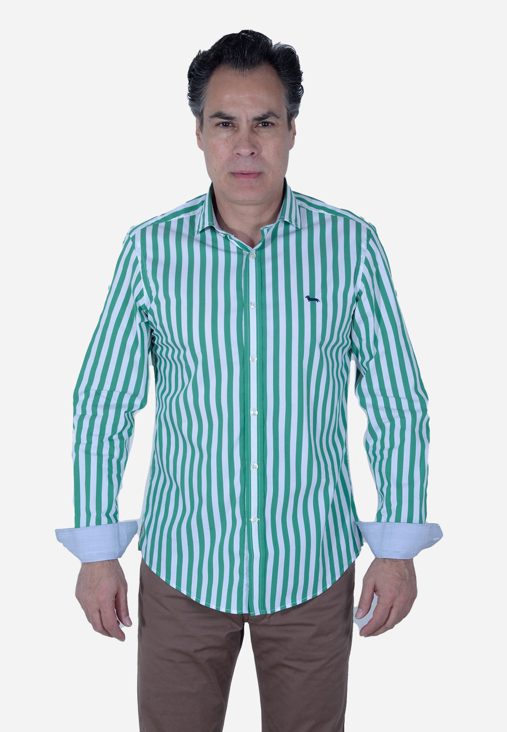 CAMISA HARMONT & BLAINE VERDE RAYAS ALGODÓN (CNL069011993I-646)