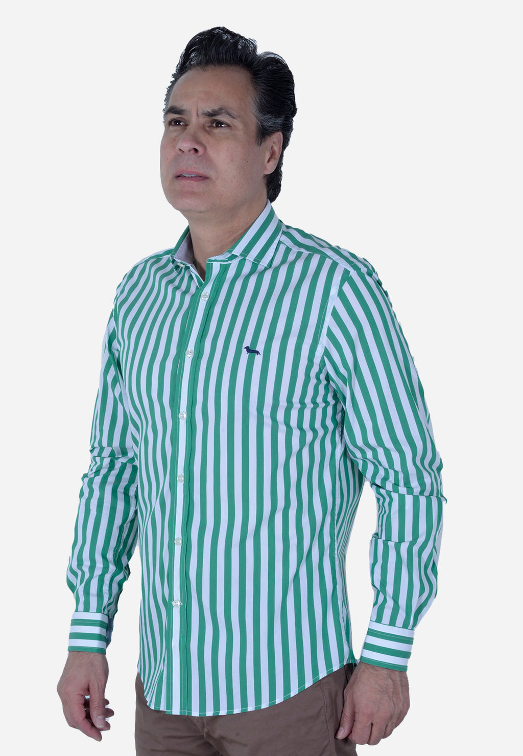 CAMISA HARMONT & BLAINE VERDE RAYAS ALGODÓN (CNL069011993I-646)