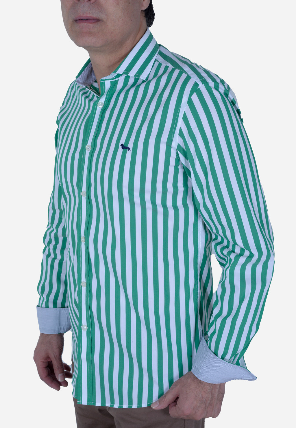 CAMISA HARMONT & BLAINE VERDE RAYAS ALGODÓN (CNL069011993I-646)