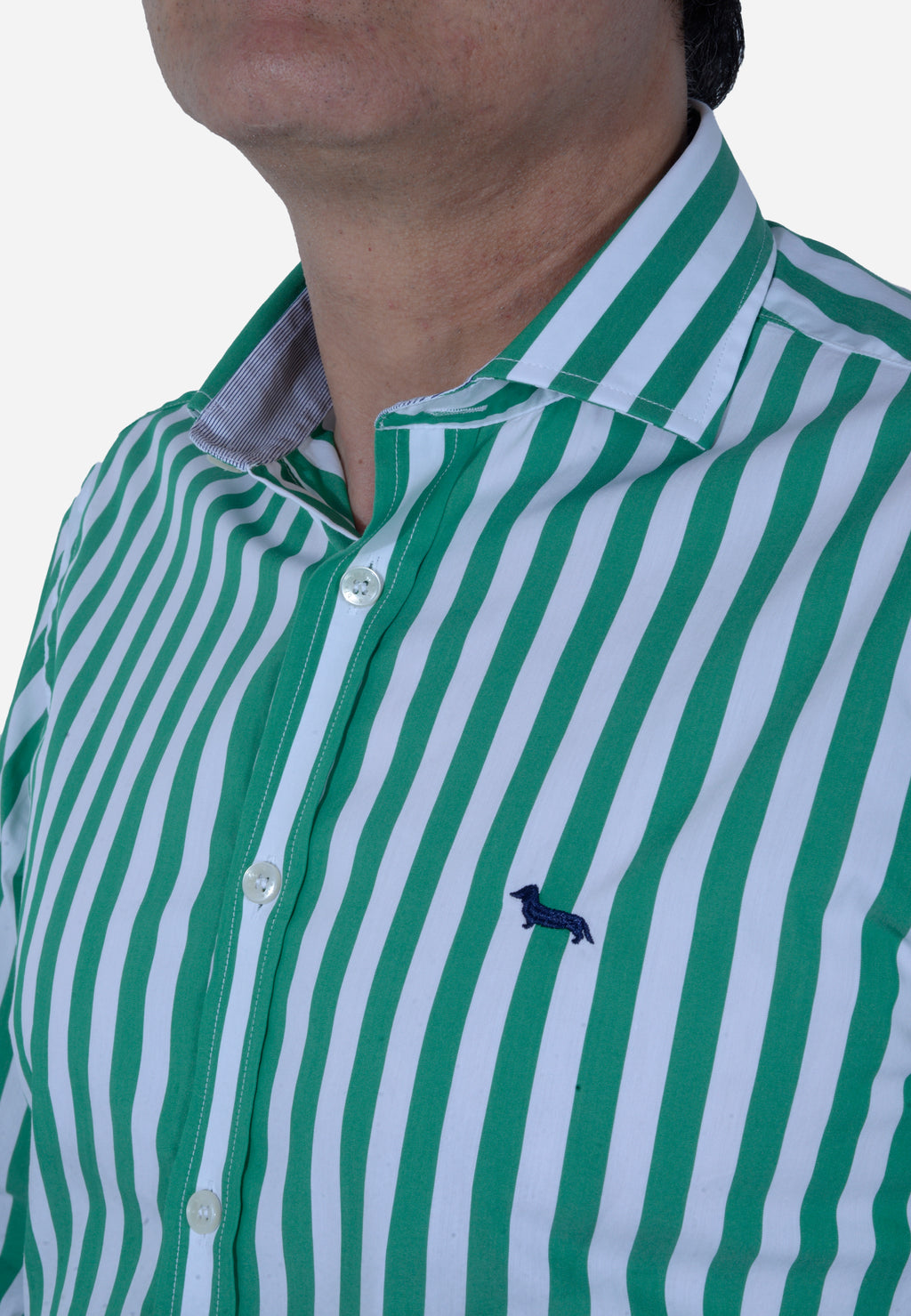 CAMISA HARMONT & BLAINE VERDE RAYAS ALGODÓN (CNL069011993I-646)