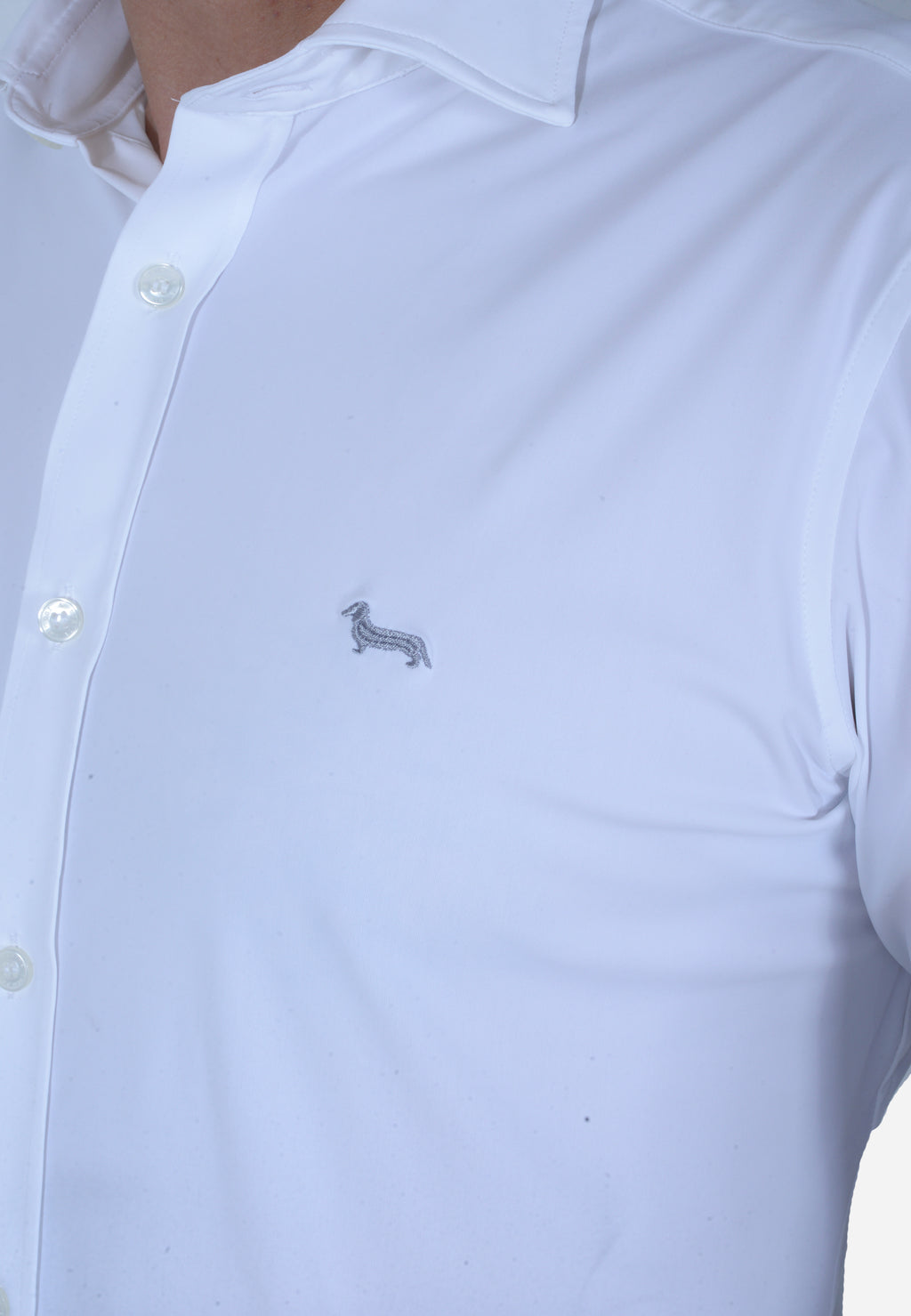 CAMISA HARMONT & BLAINE BLANCO ALGODÓN (CNL001012803I-100)