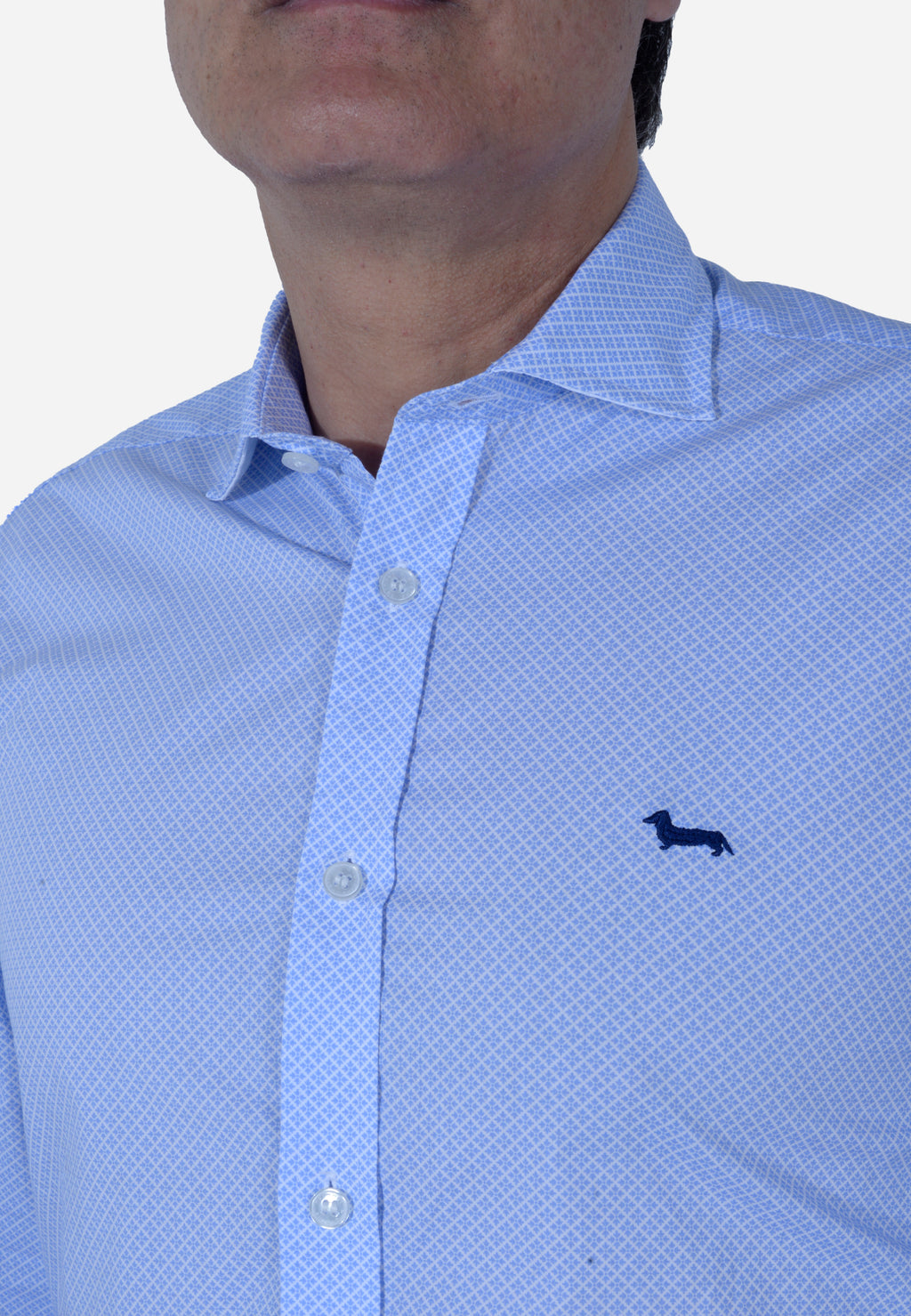 CAMISA HARMONT & BLAINE AZUL ALGODÓN (CNL026012836I-849)