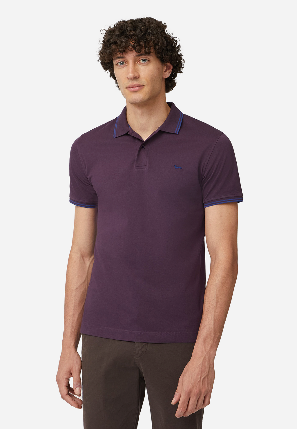 CAMISETA POLO HARMONT & BLAINE MORADO ALGODON (LNM010021148588)