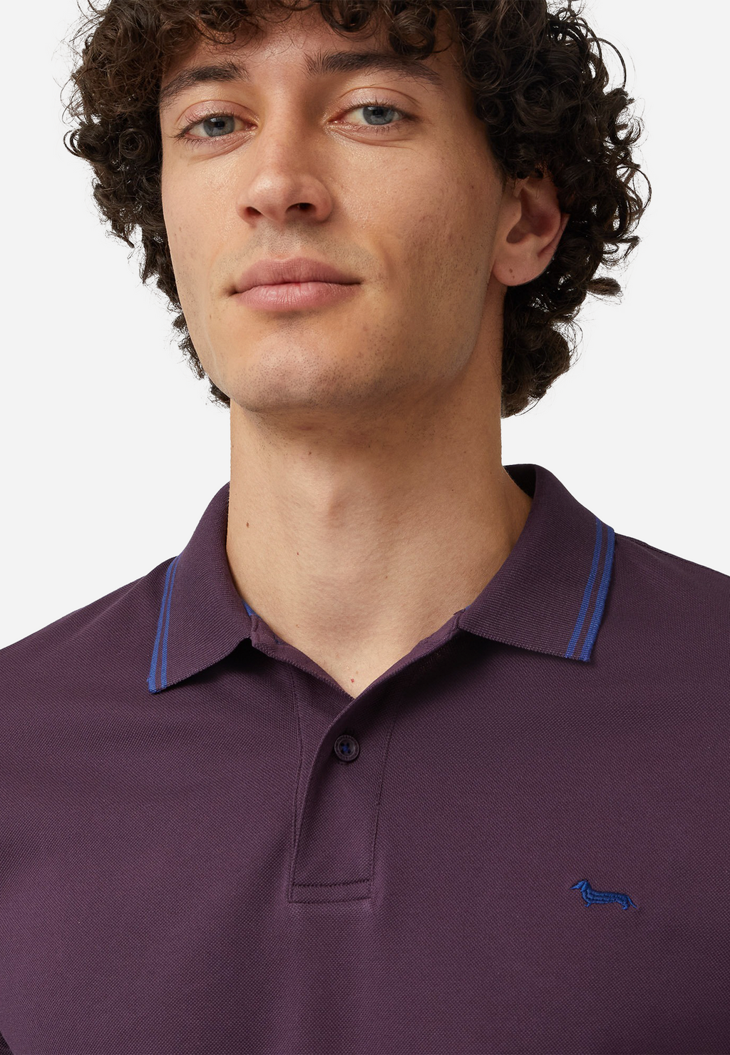 CAMISETA POLO HARMONT & BLAINE MORADO ALGODON (LNM010021148588)