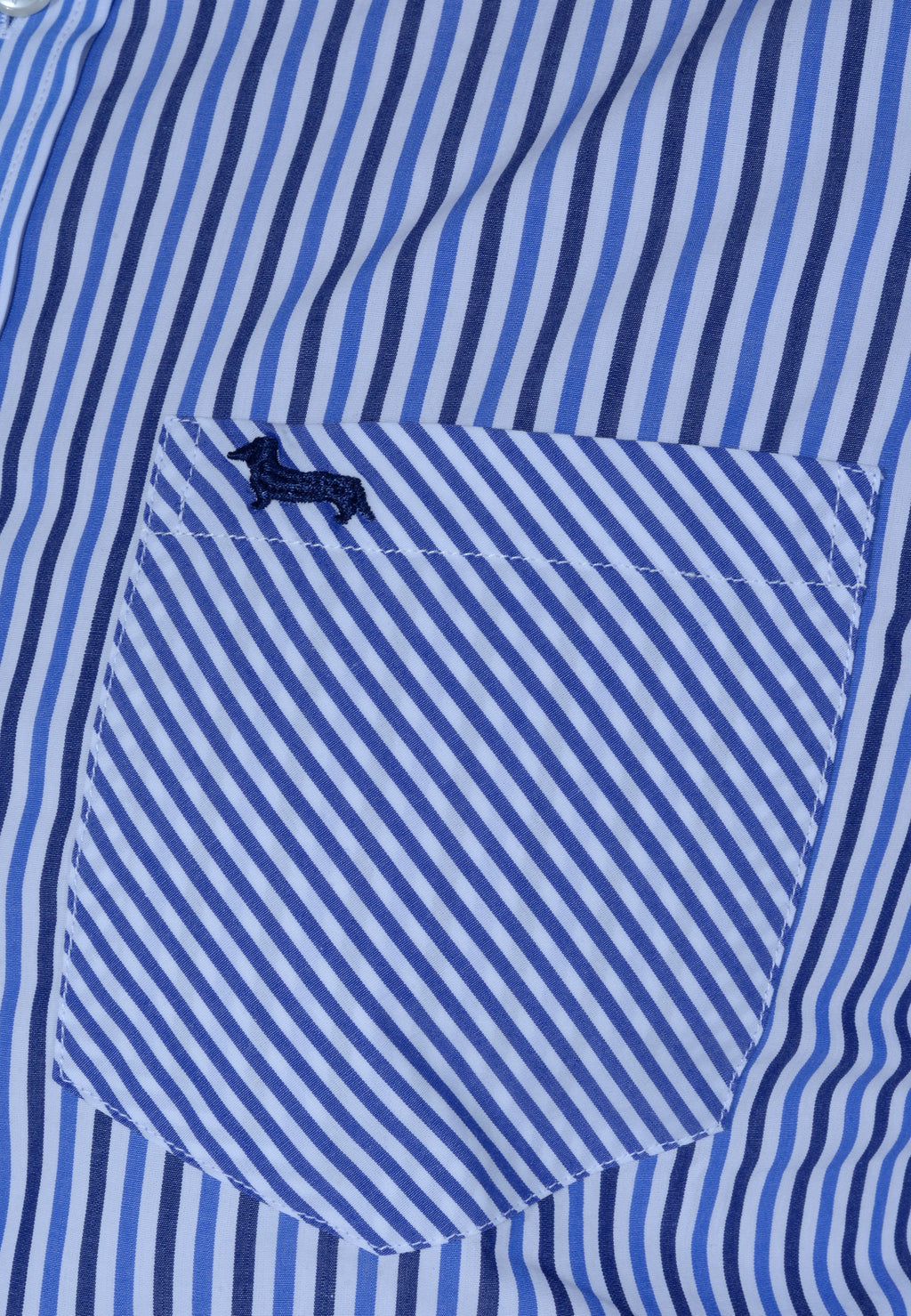 CAMISA HARMONT & BLAINE RAYAS AZUL ALGODÓN (CRL062012755M-100)