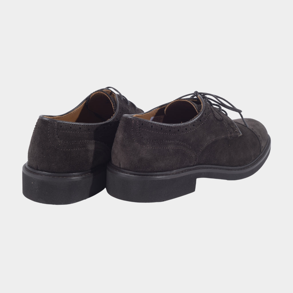 ZAPATO HACKETT CAFE 100% COW SUEDE