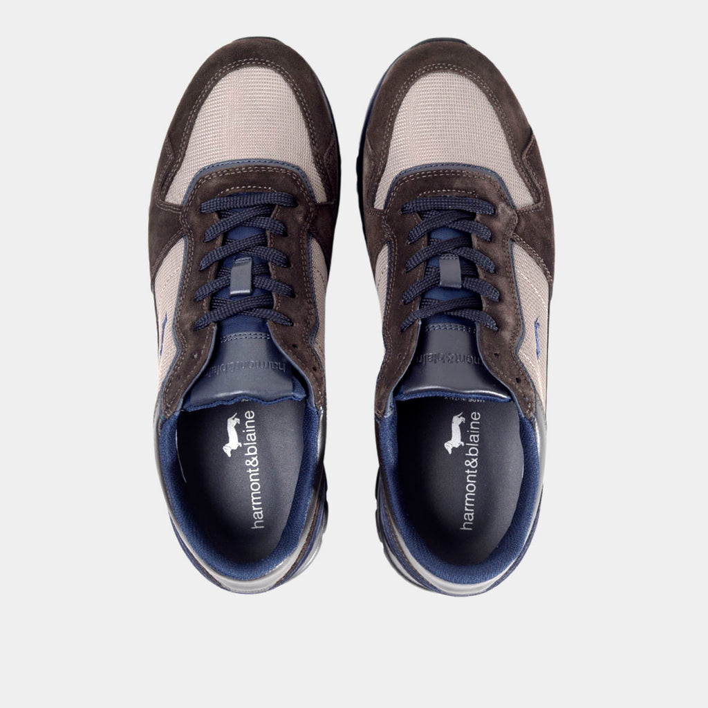 Tenis Shoes Café Cuero H&B