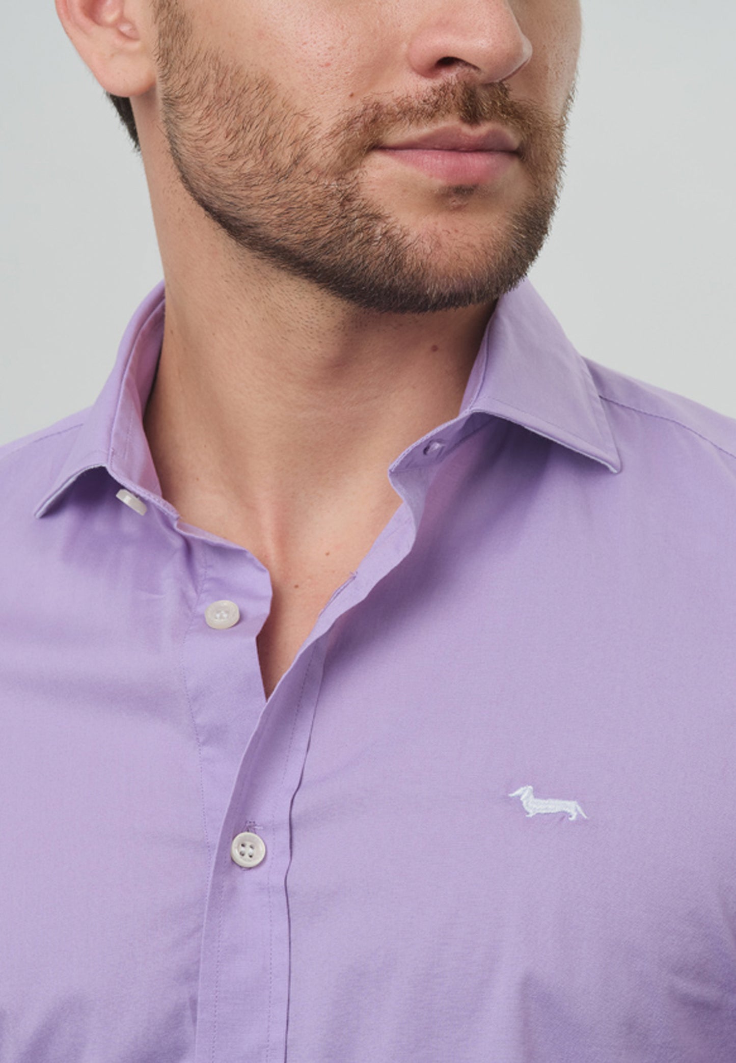 CAMISA SPORT HARMONT & BLAINE MORADO ALGODON (CNJ011006459-527)