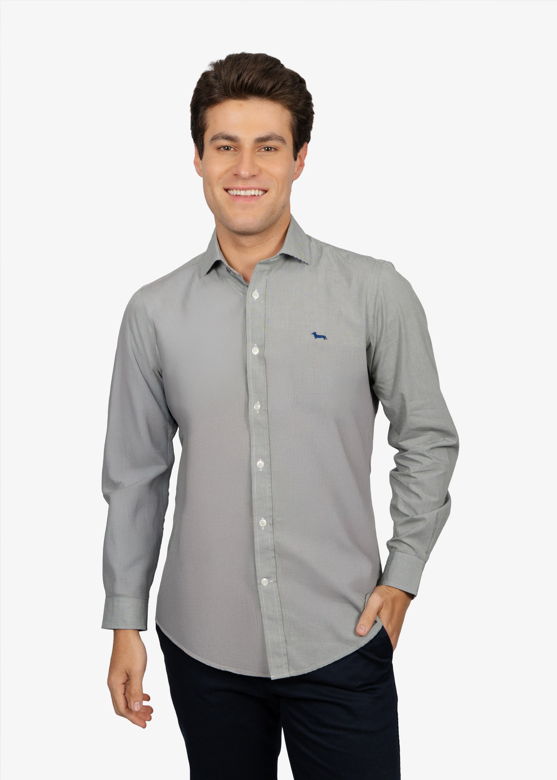 CAMISA SPORT HARMONT & BLAINE VERDE ALGODON (CNM012011465I-642)