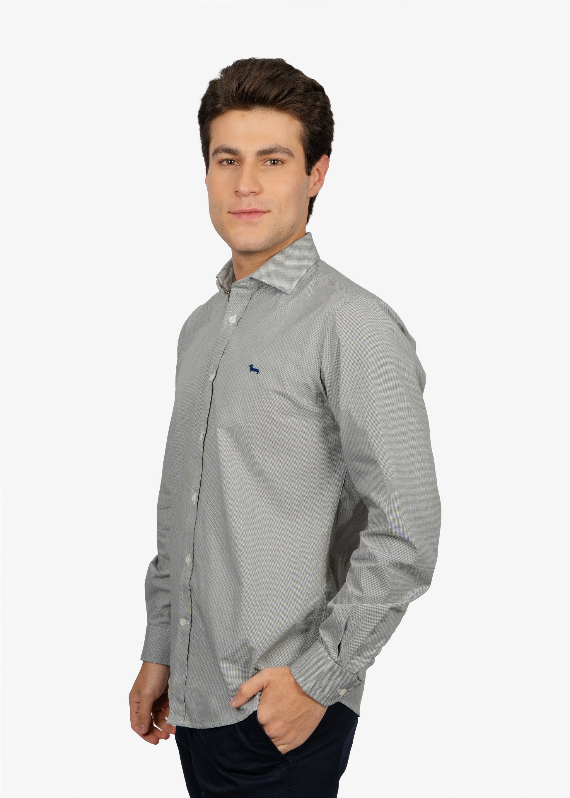 CAMISA SPORT HARMONT & BLAINE VERDE ALGODON (CNM012011465I-642)