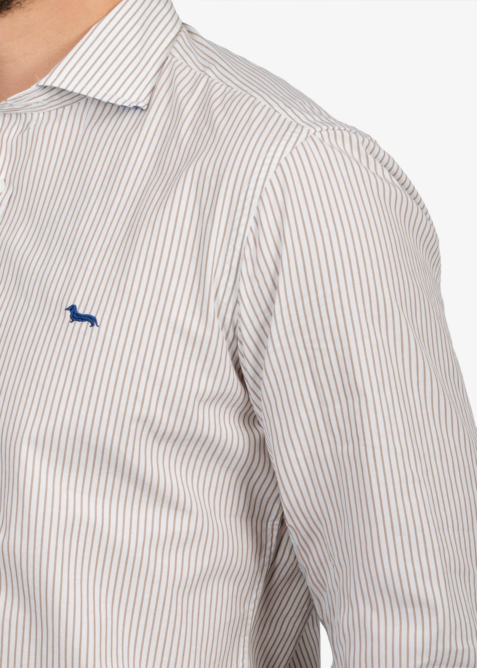 CAMISA SPORT HARMONT & BLAINE RYS CAFE ALGODON (CNM012011467I-213)