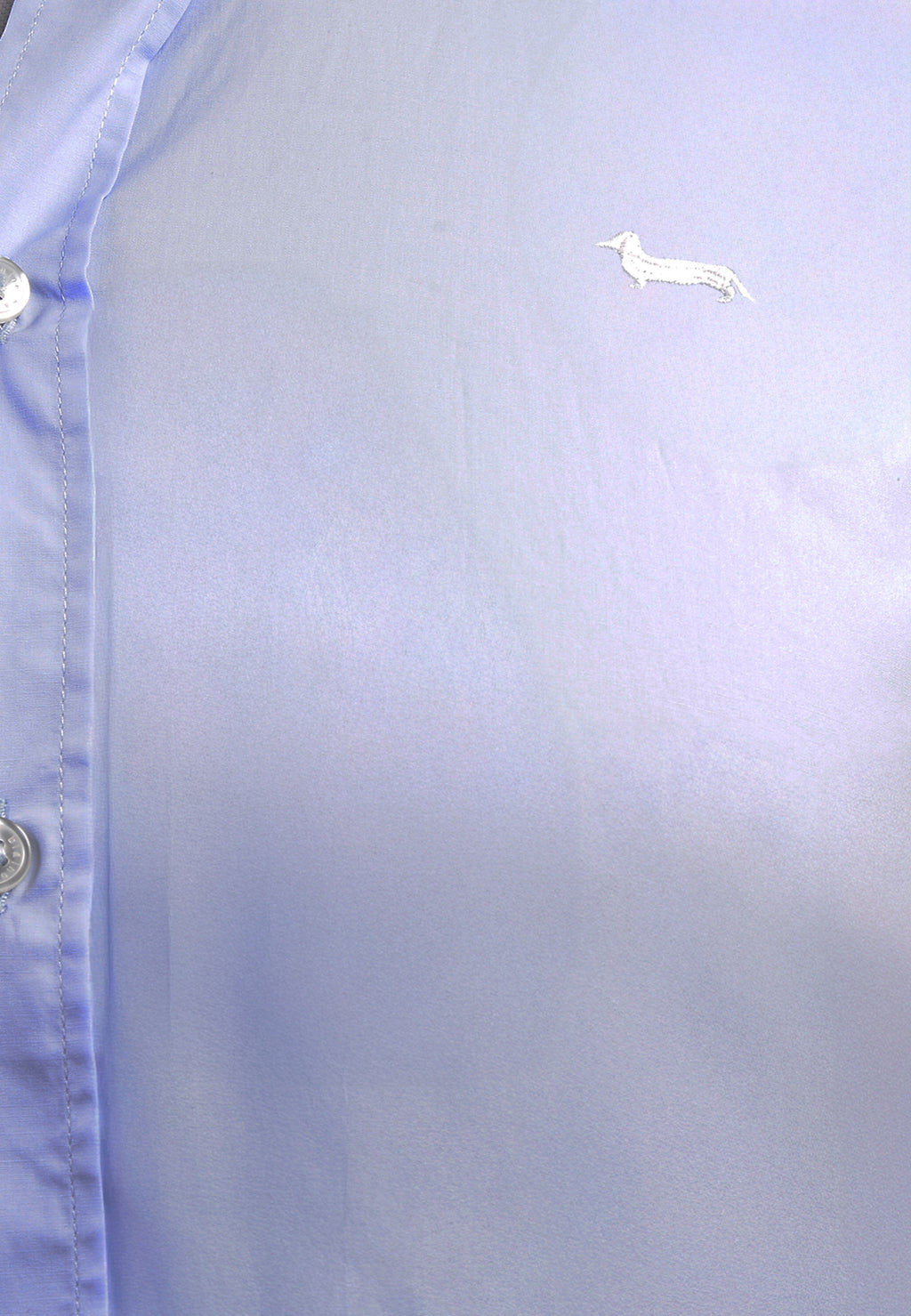 Camisa Azul Celeste H&B