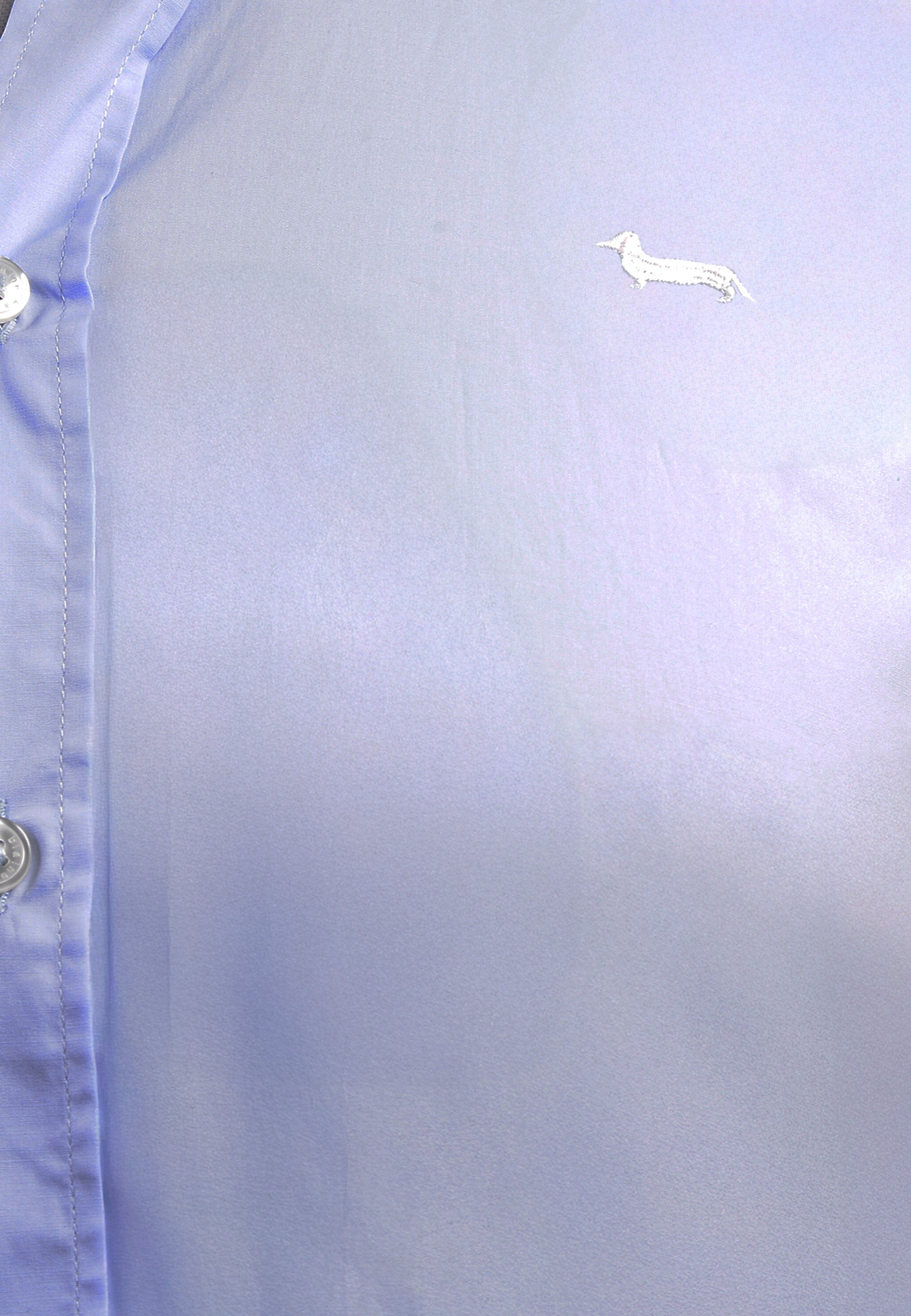 Camisa Azul Celeste H&B