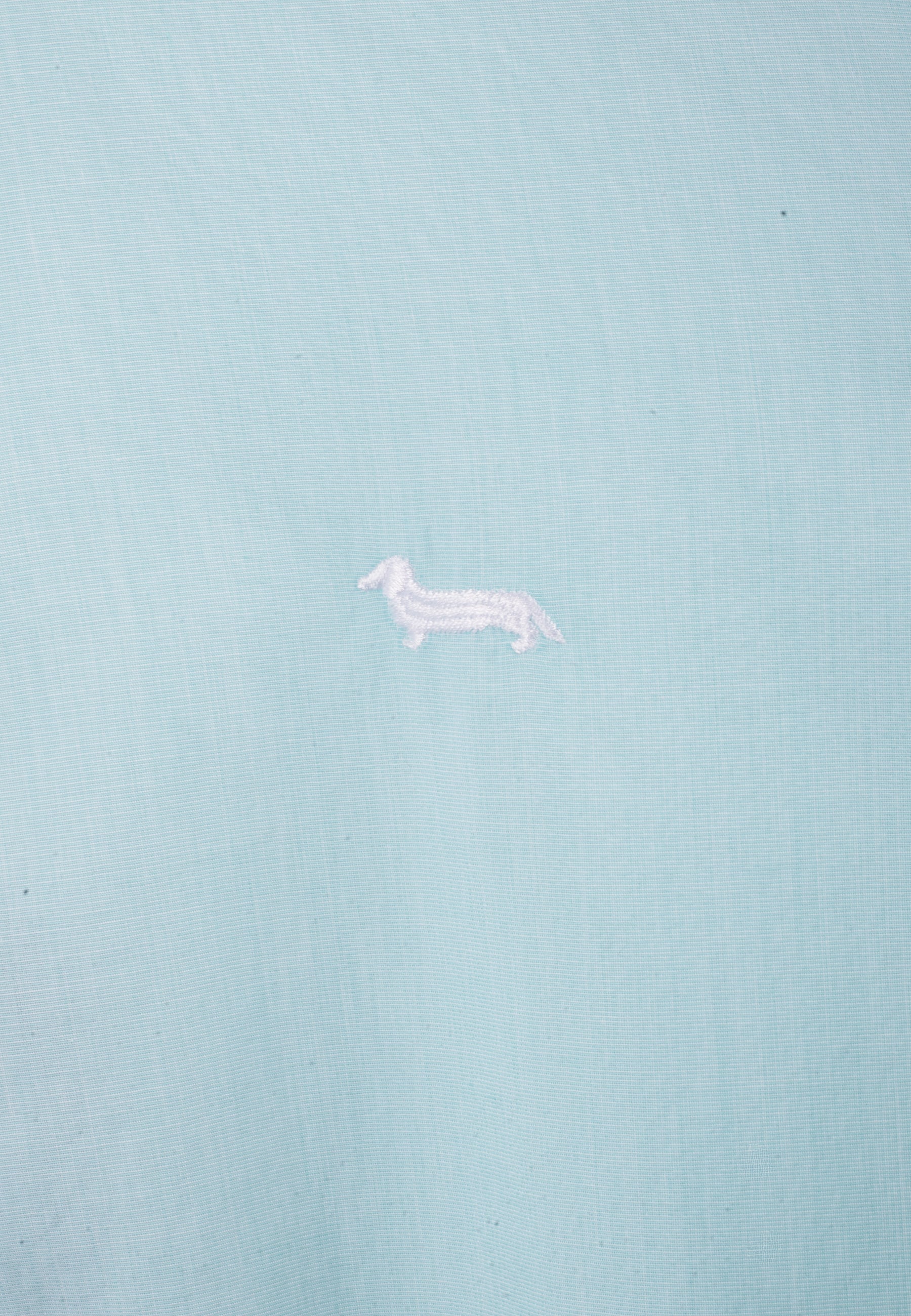 Camisa Hombre Verde Menta H&B