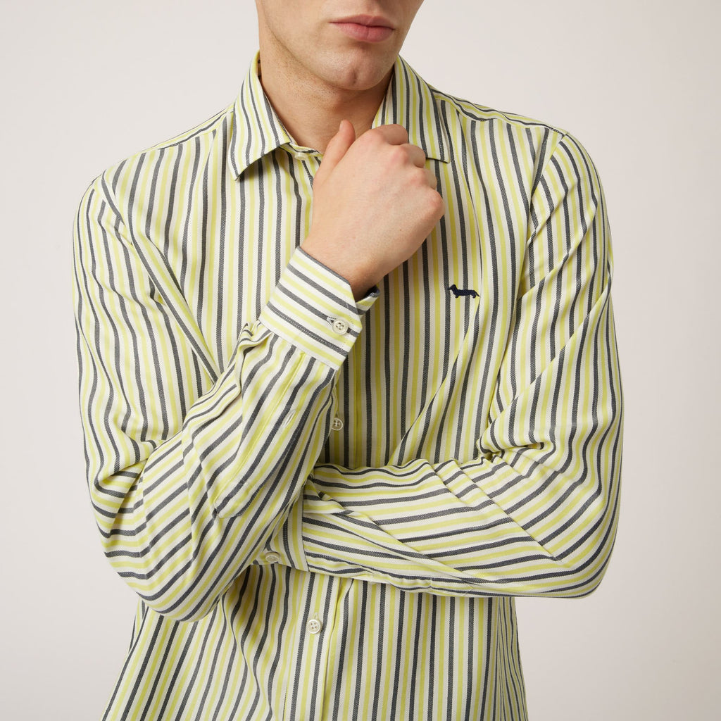 CAMISA HARMONT RYAS VERDES ALGOD (CRK011012508B-100)