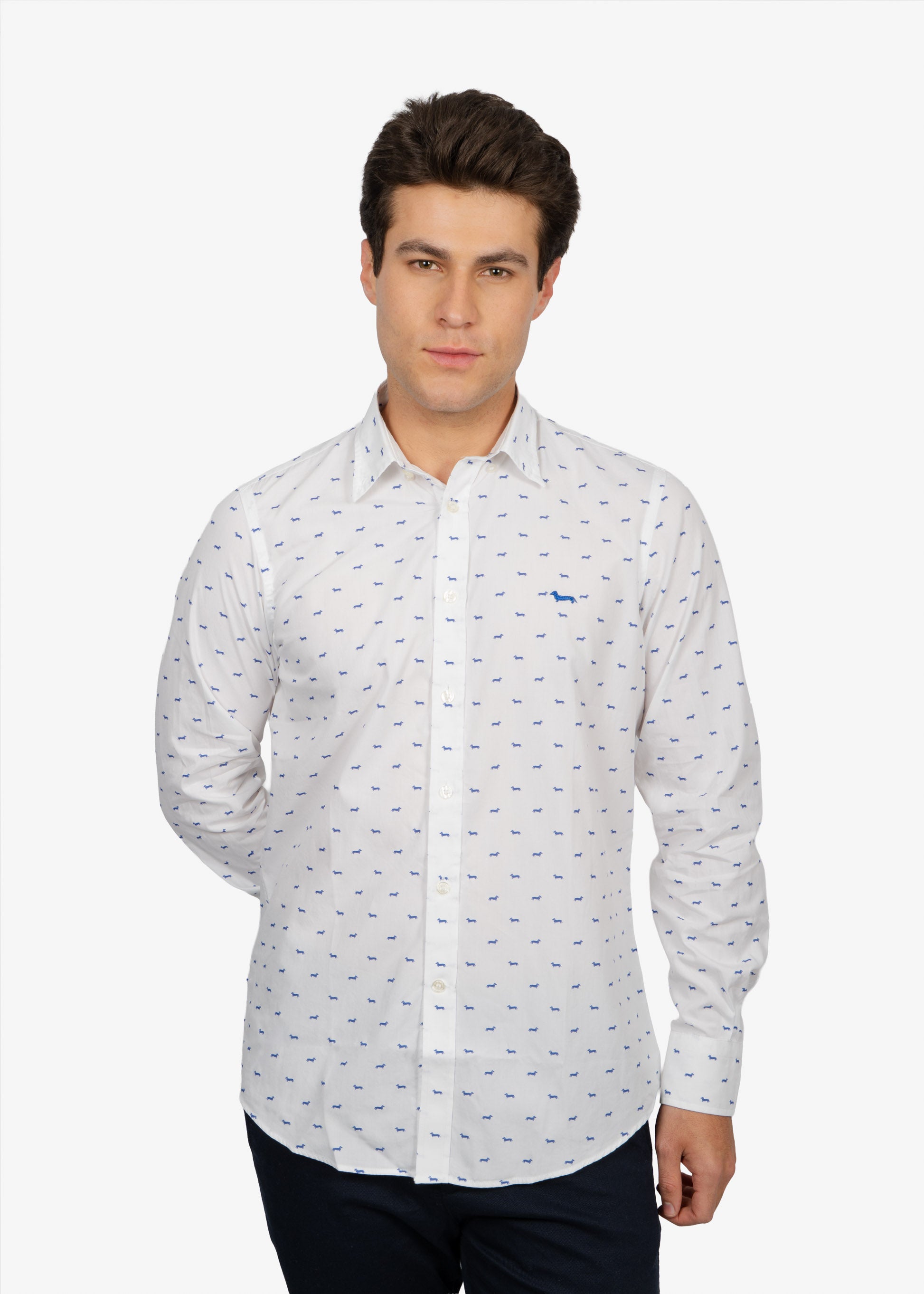 CAMISA SPORT HARMONT & BLAINE BLANCO FIG ALGODON (RM001S08799M-854)