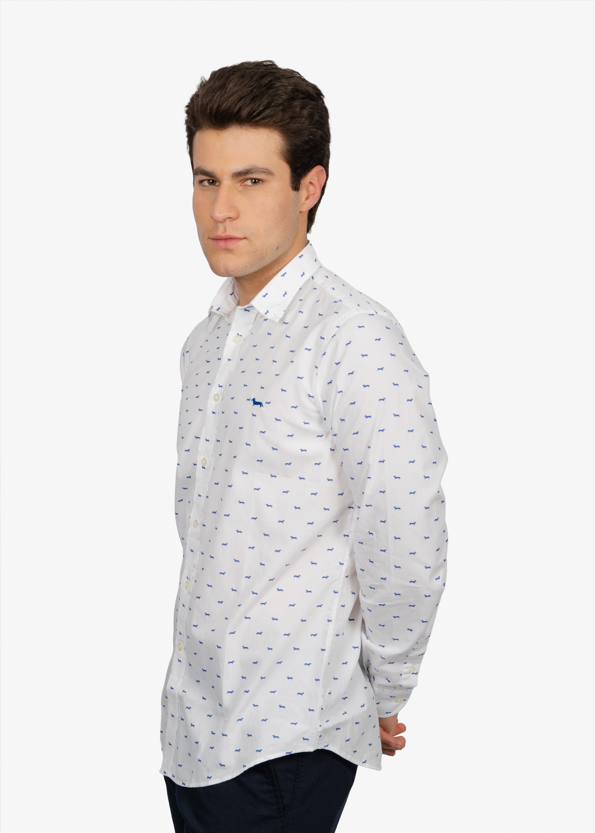 CAMISA SPORT HARMONT & BLAINE BLANCO FIG ALGODON (RM001S08799M-854)