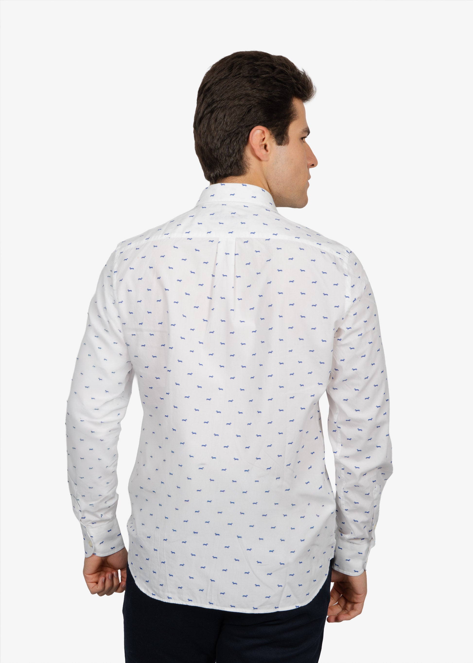 CAMISA SPORT HARMONT & BLAINE BLANCO FIG ALGODON (RM001S08799M-854)