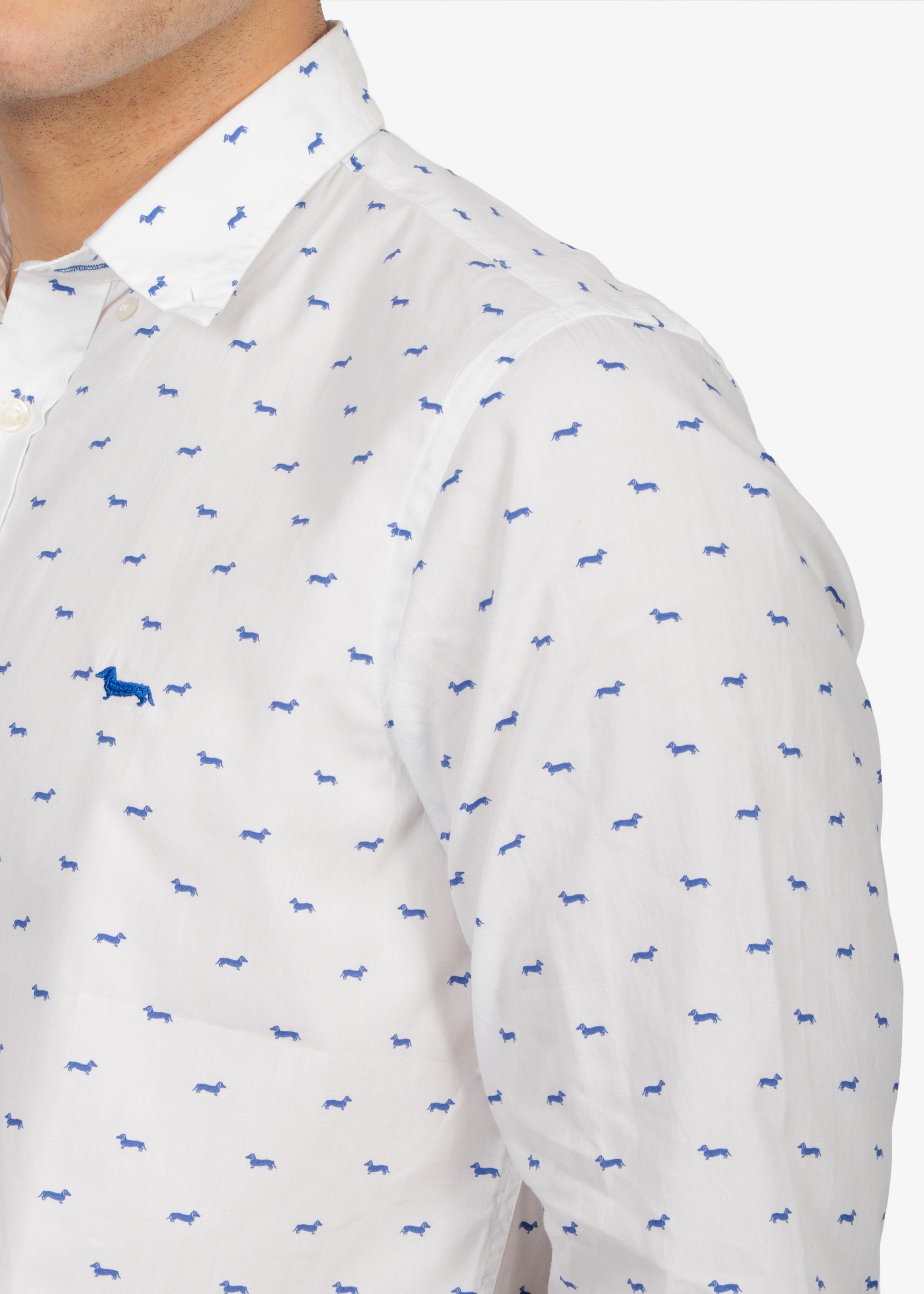 CAMISA SPORT HARMONT & BLAINE BLANCO FIG ALGODON (RM001S08799M-854)