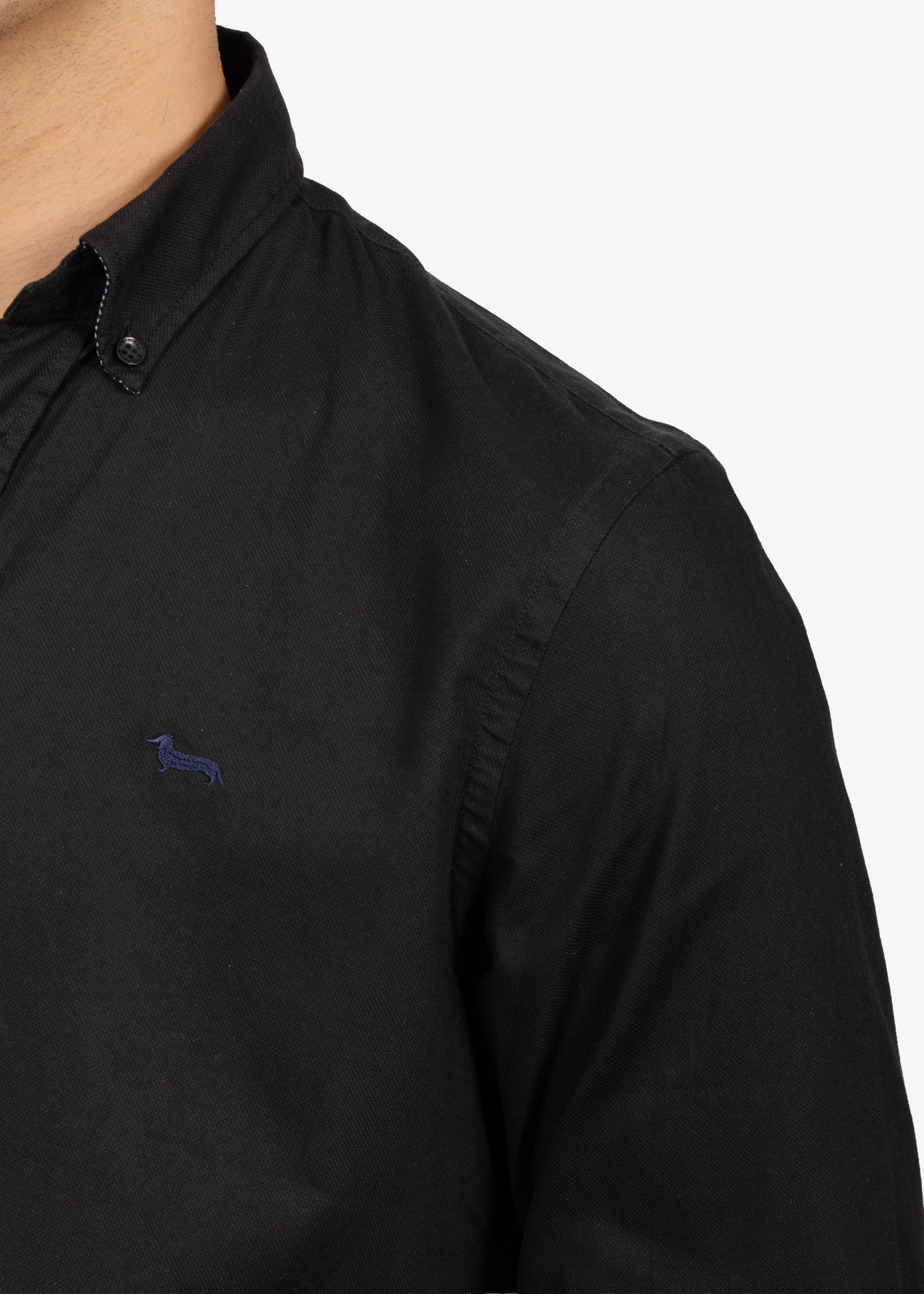 CAMISA SPORT HARMONT & BLAINE NEGRO ALGODON (CRM011012581M-999)