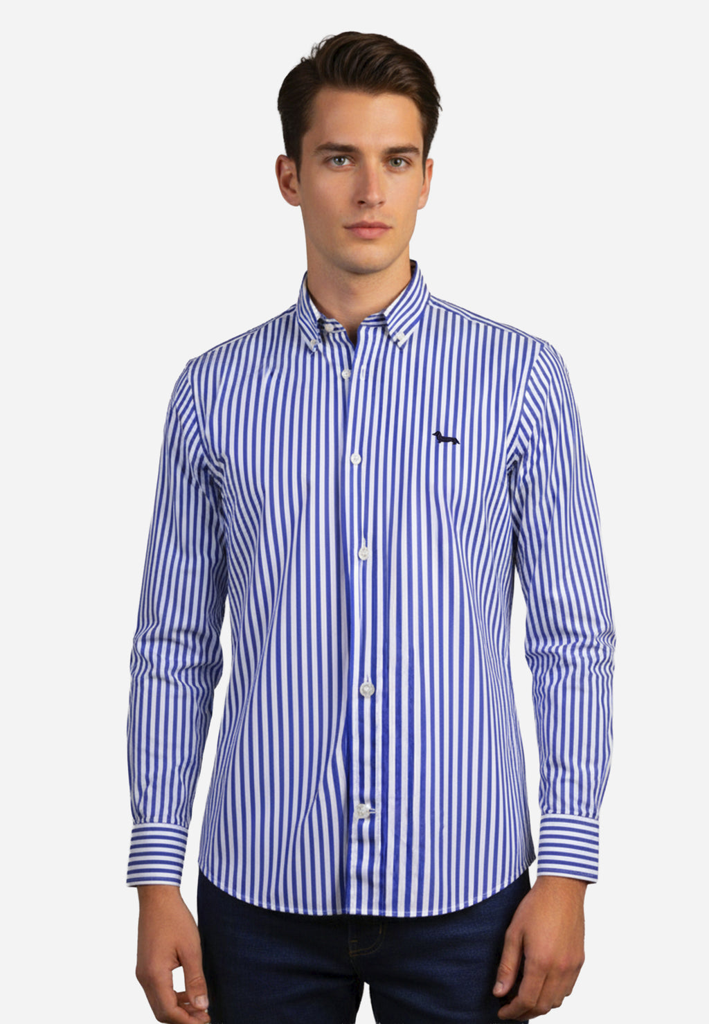 Camisa Rayas Azul Marino H&B