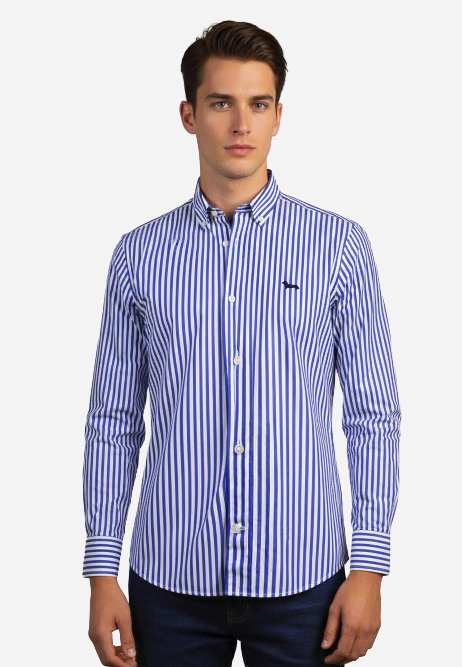 Camisa Rayas Azul Marino H&B