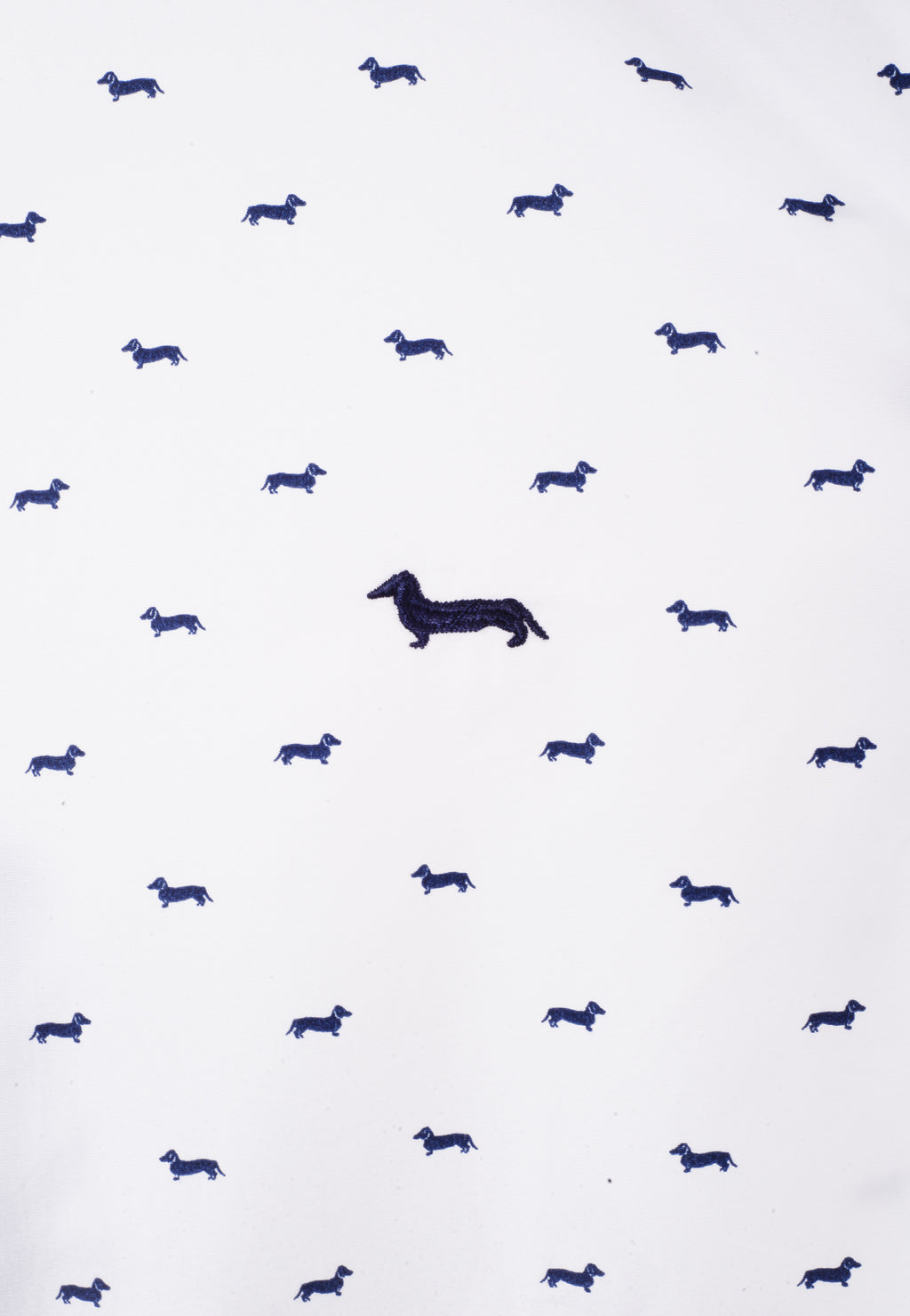 Camisa Blanca/Azul Logo H&B