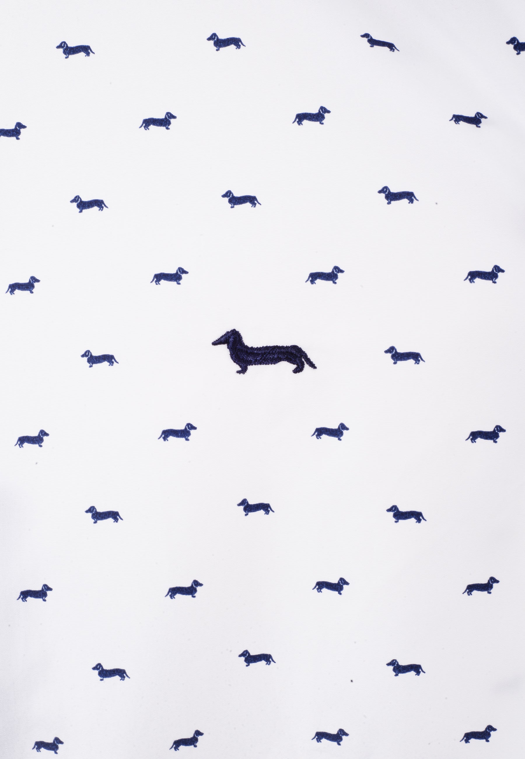 Camisa Blanca/Azul Logo H&B