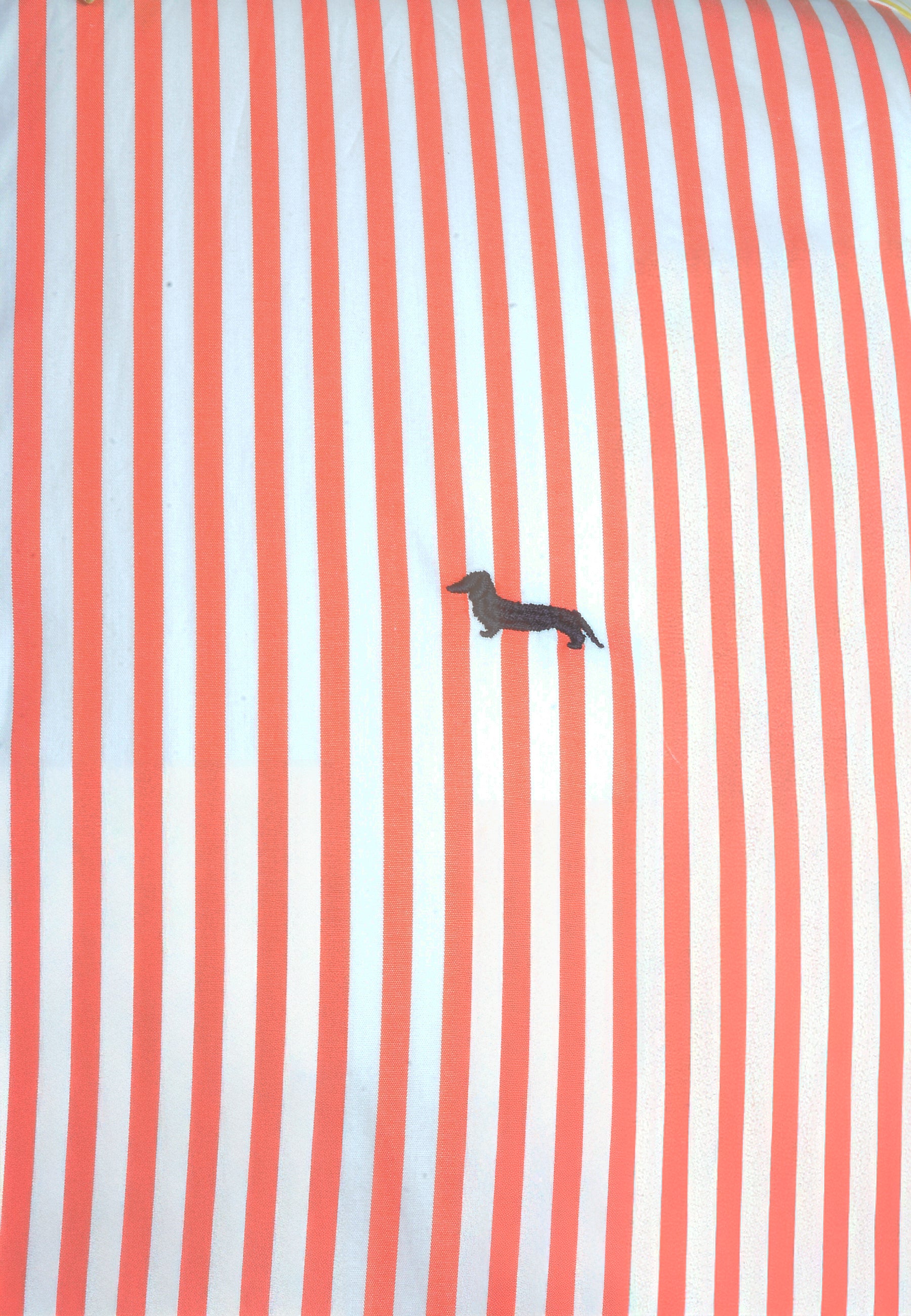 Camisa Manga Larga Rayas H&B