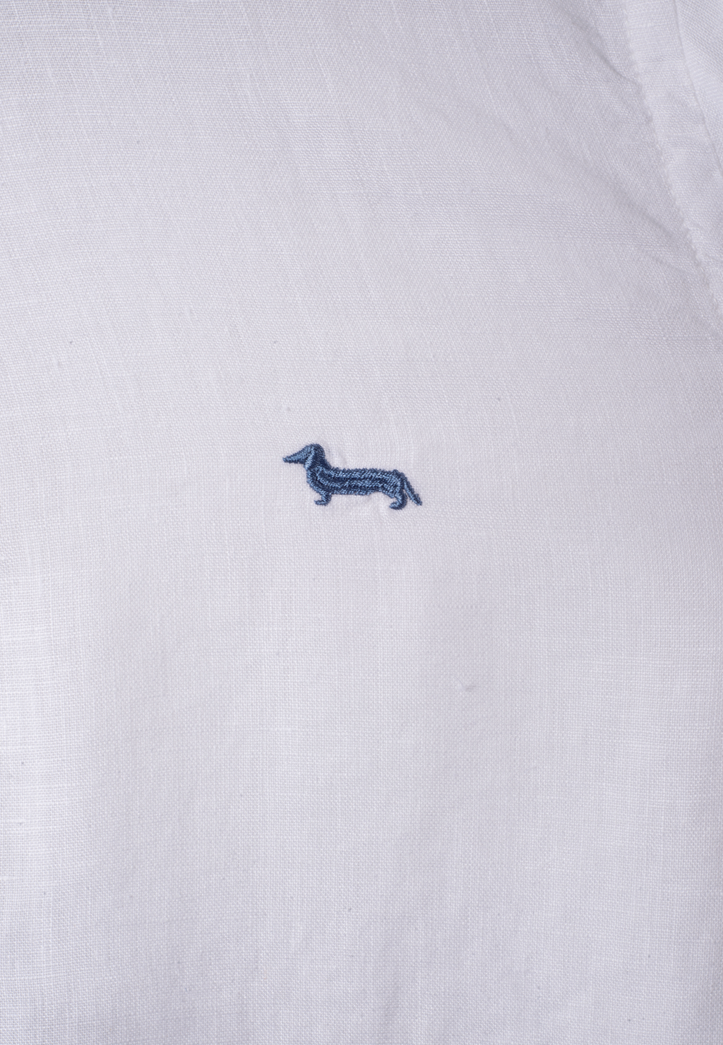 Camisa Blanca/Celeste H&B