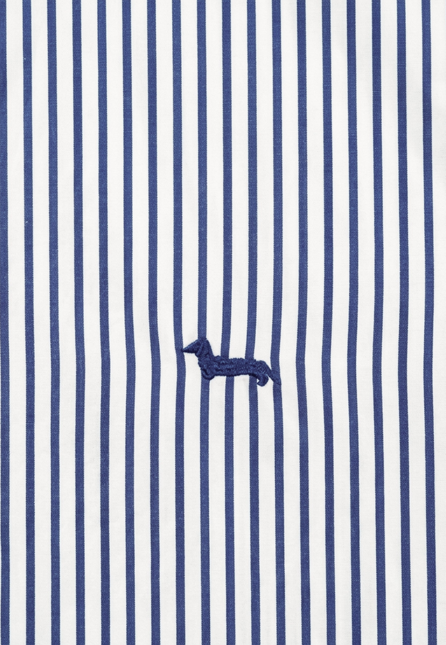 Camisa Azul Atemporal H&B.