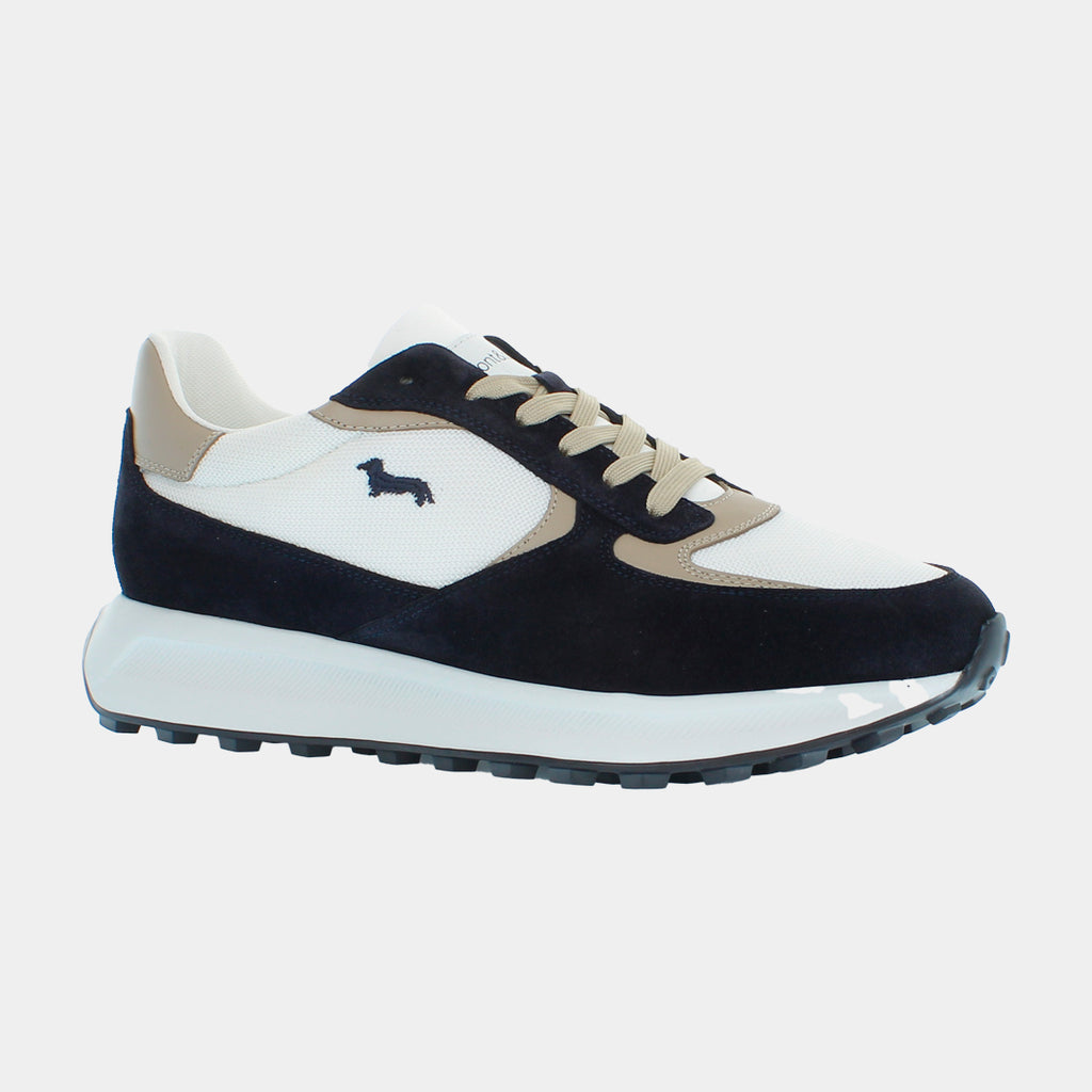 Tenis Azul/Blanco Hombre H&B.