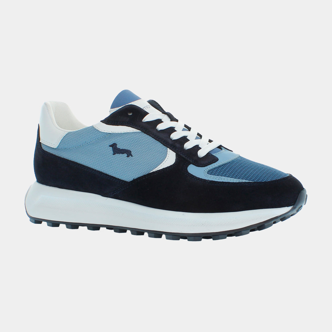 Tenis Shoes en Tonos Azules H&B