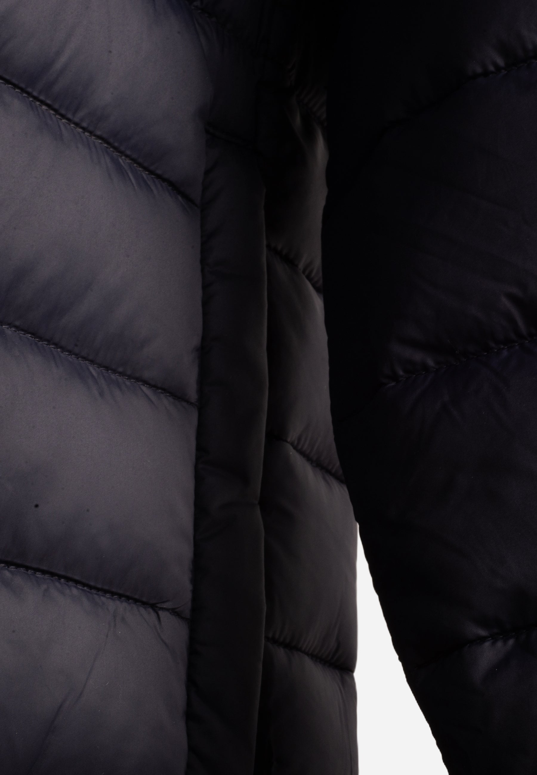 Chaqueta Azul Marino Hombre H.L.