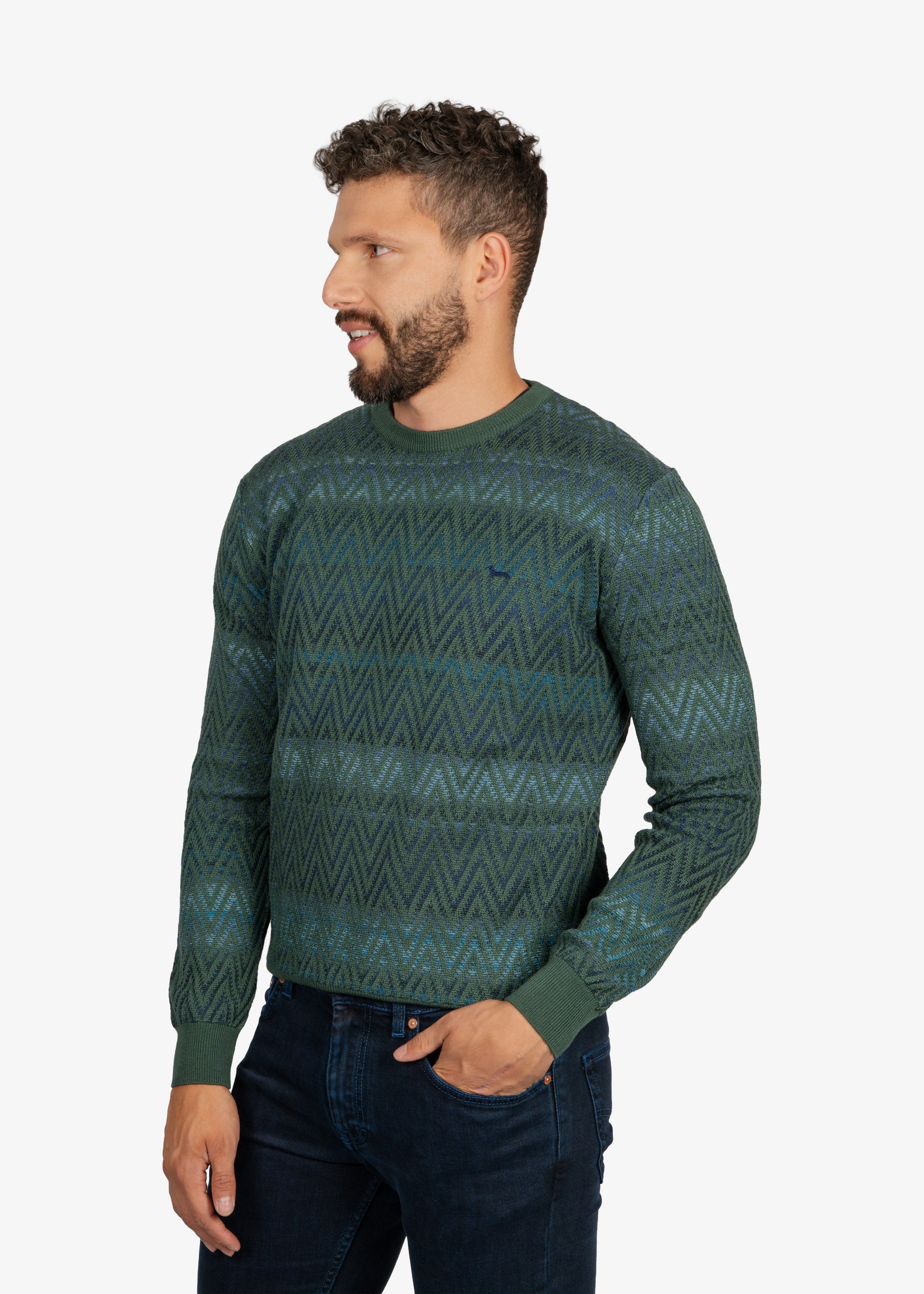 Sweater Cuello Redondo Verde Diseño