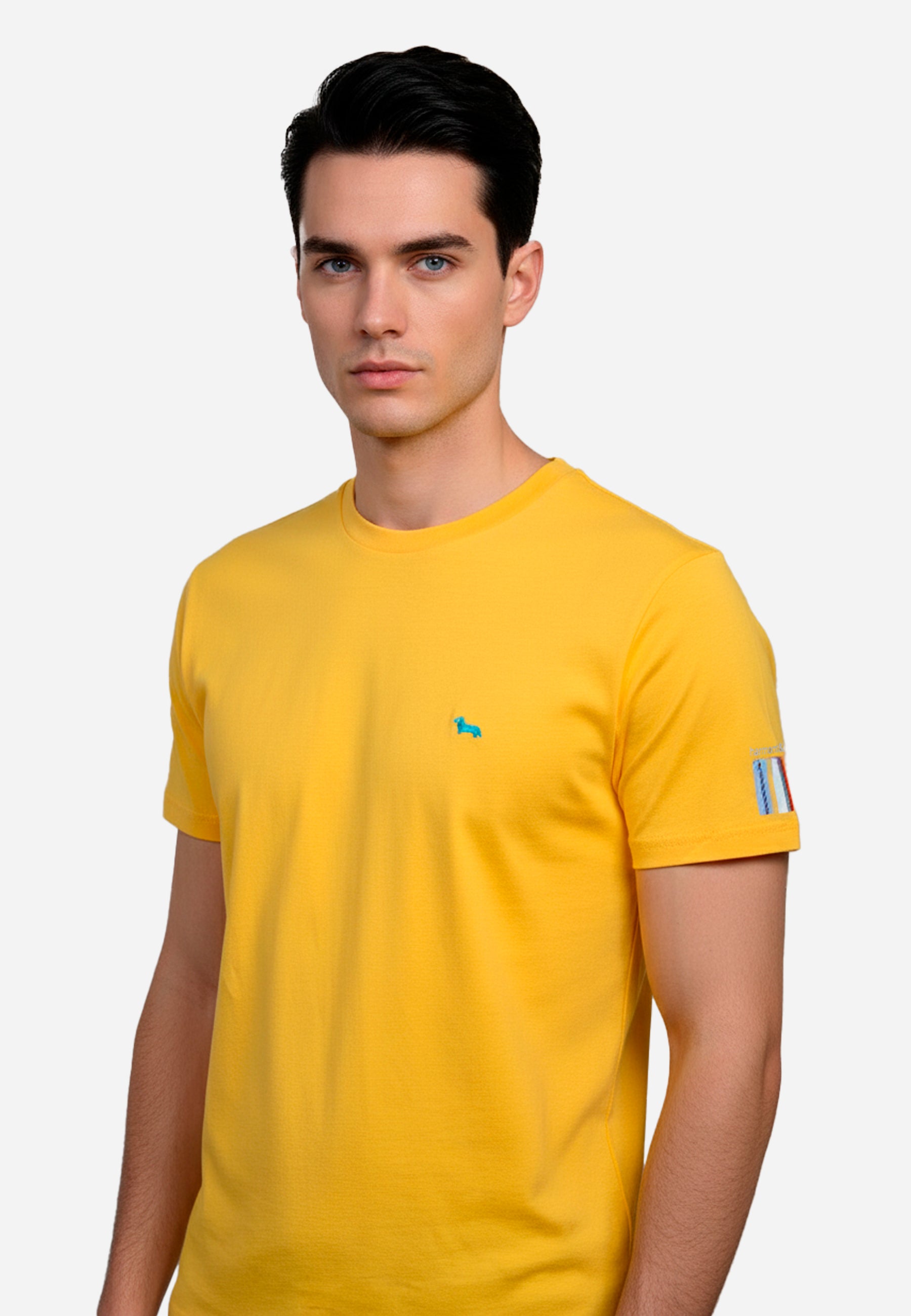 Camiseta T-Shirt Amarilla Logo H&B