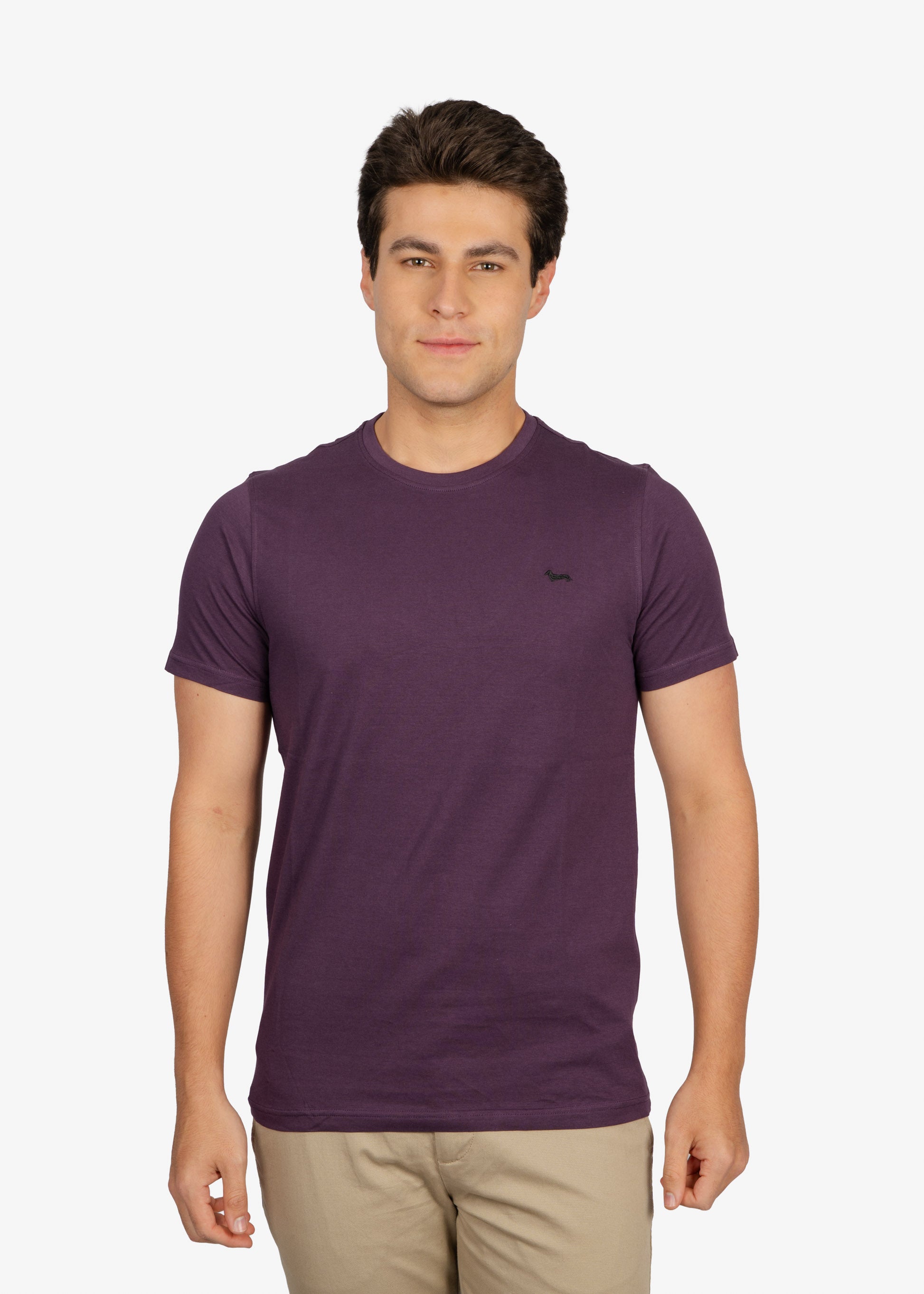 Camiseta Tshirt Morada H&B