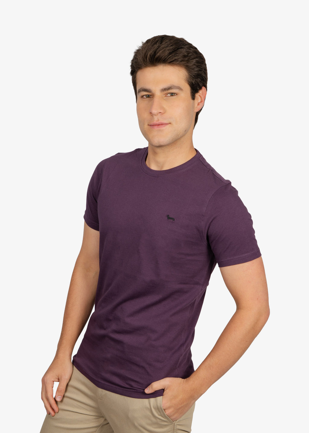 Camiseta Tshirt Morada H&B