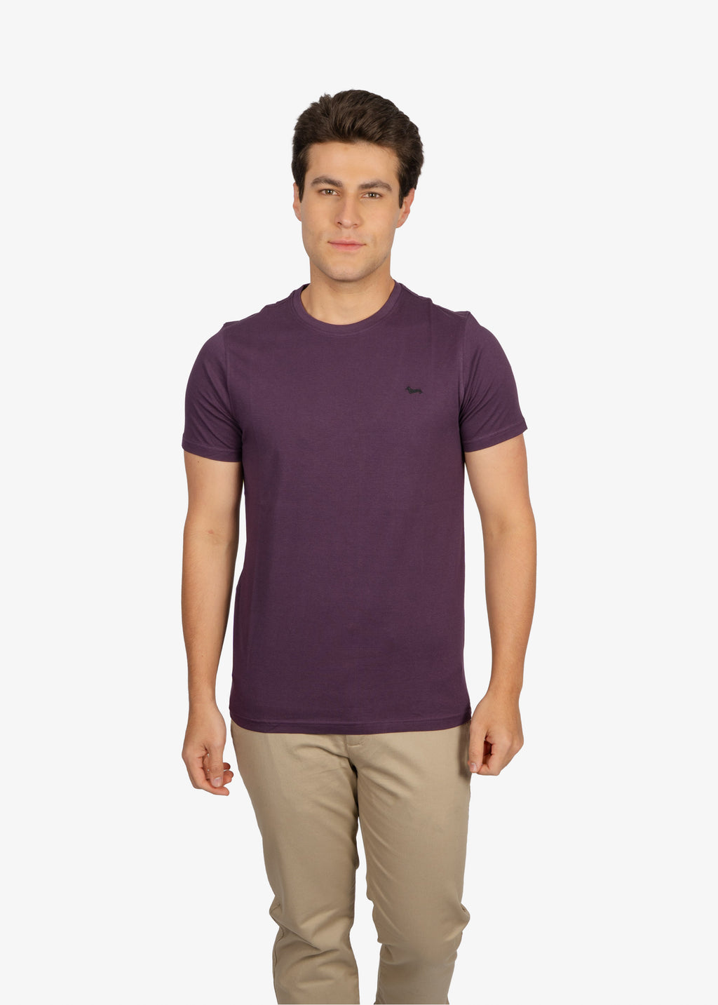 Camiseta Tshirt Morada H&B