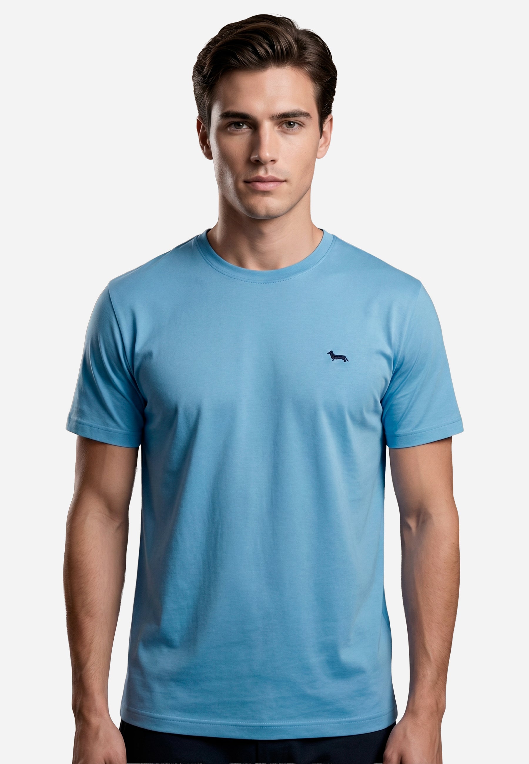Camiseta Azul T-Shirt H&B.