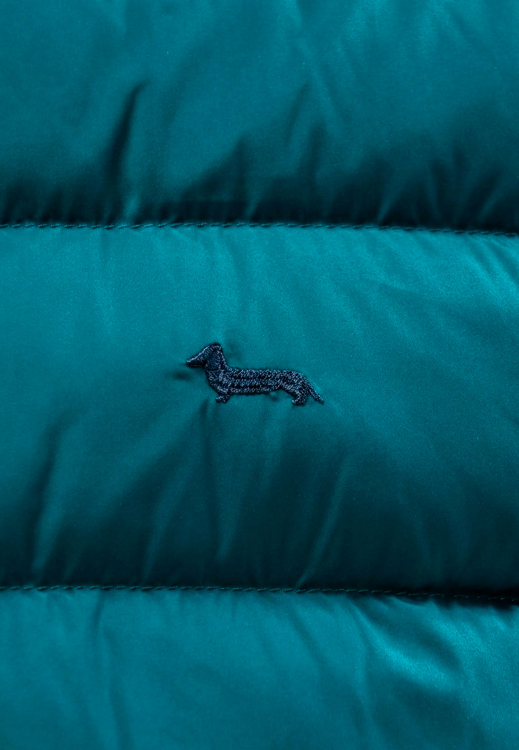 Chaqueta Verde Petróleo Hombre H&B.