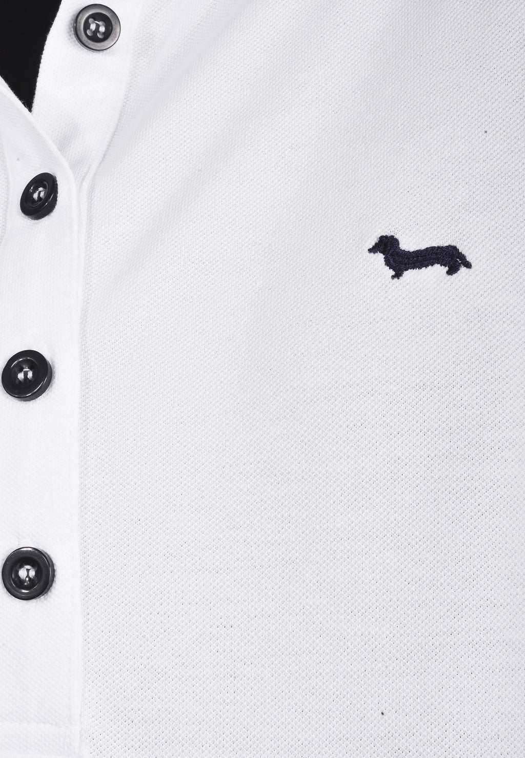 Camiseta Polo Botones Blanca H&B