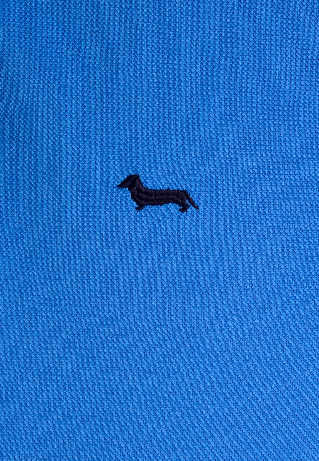 Camiseta Polo Azul H&B.