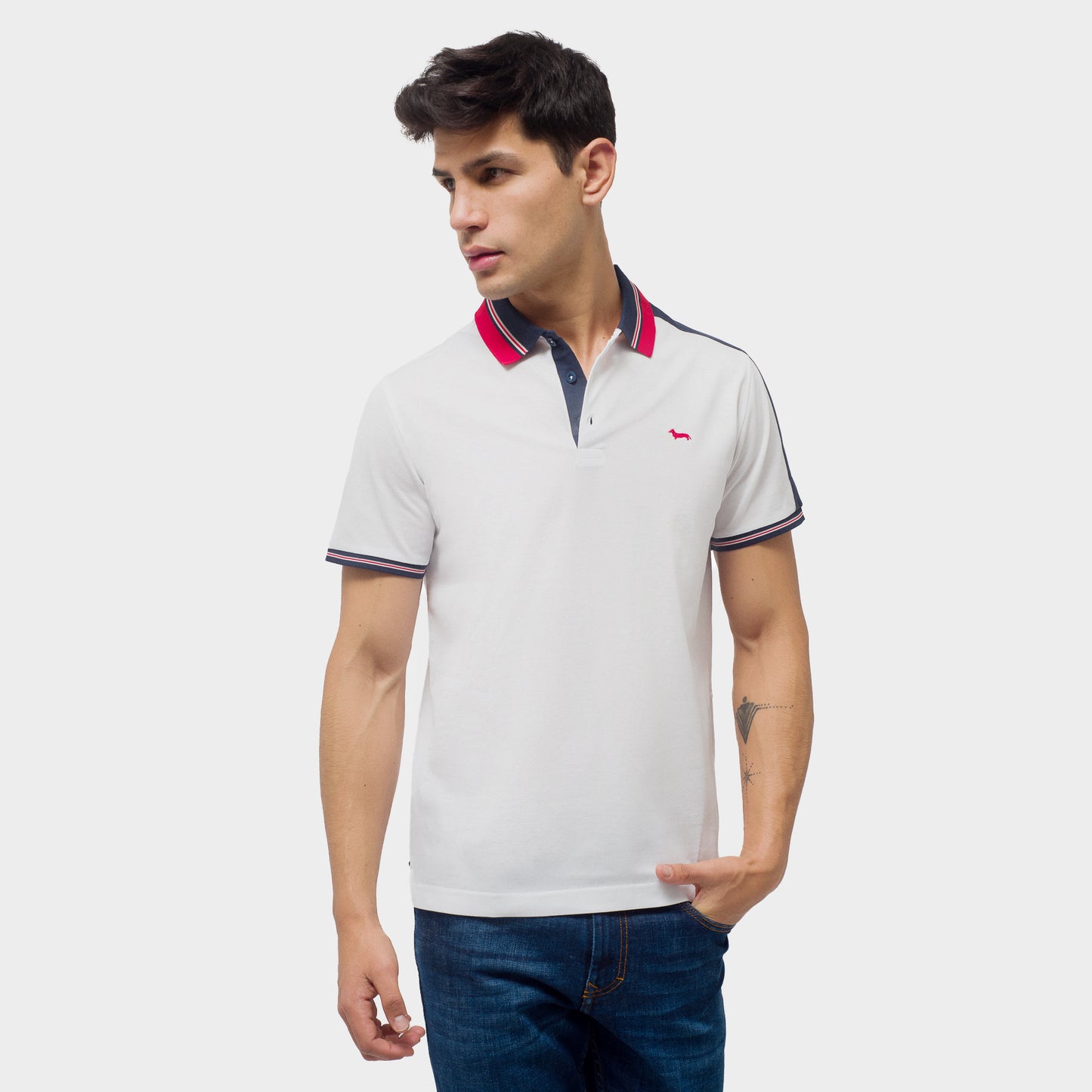 CAMISETA POLO HARMONT & BLAINE (LRJ321021215-100)