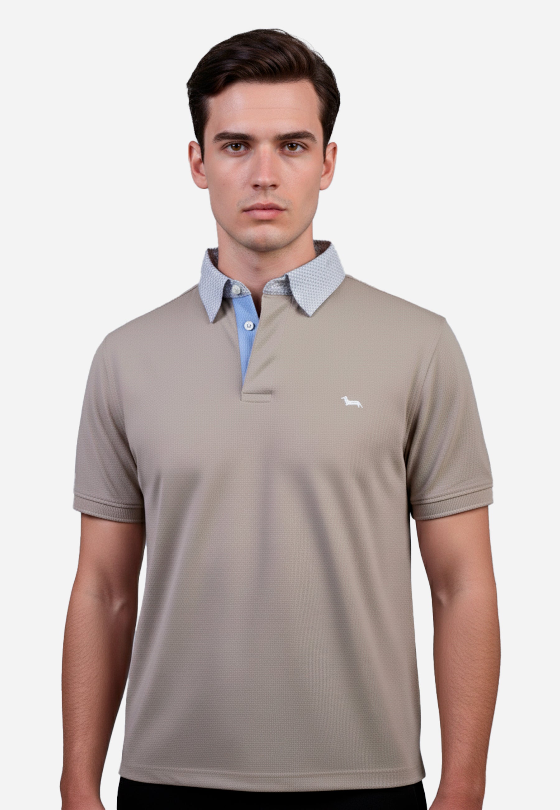 Camiseta Polo Café H&B