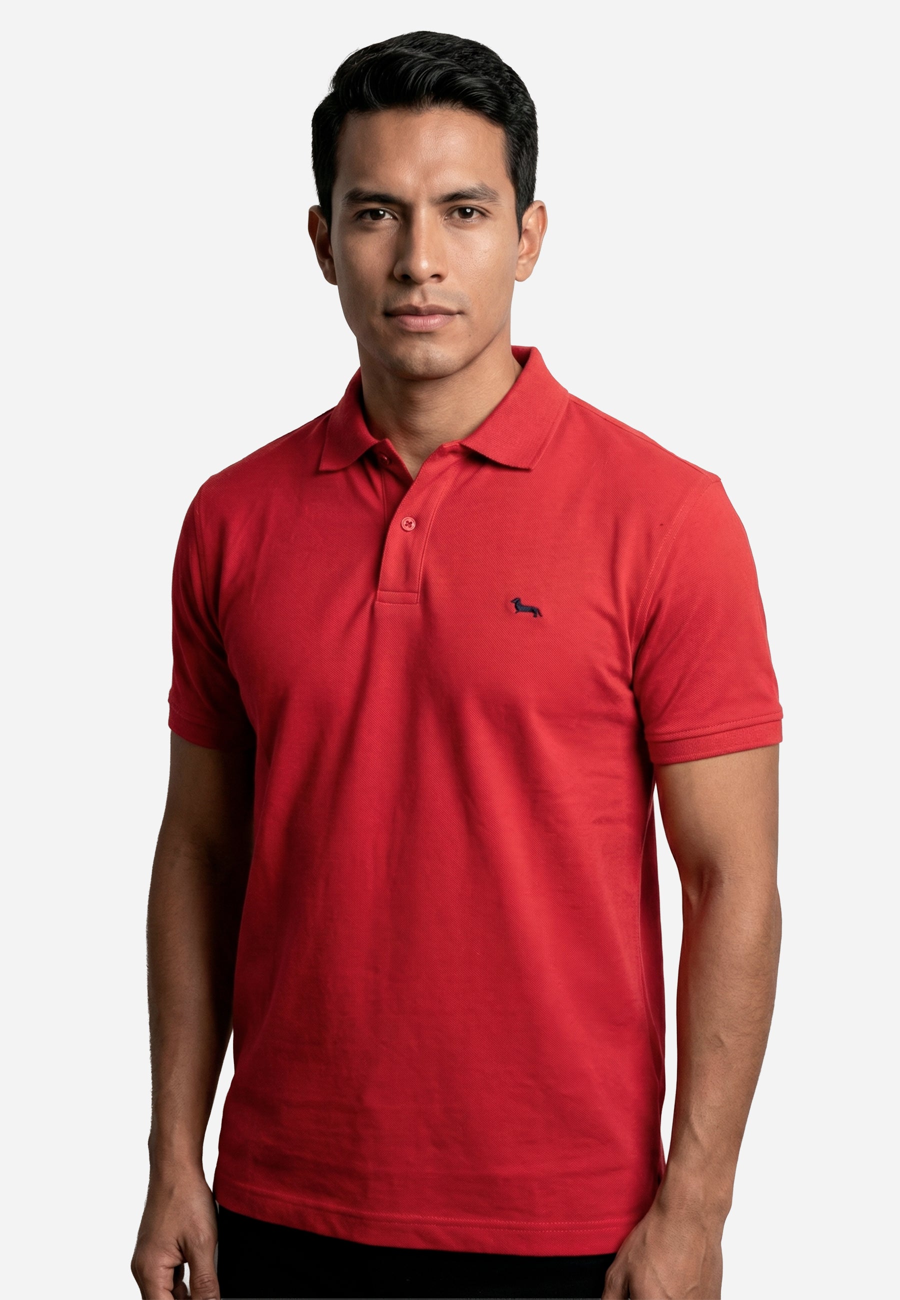 Camiseta Polo Roja H&B.