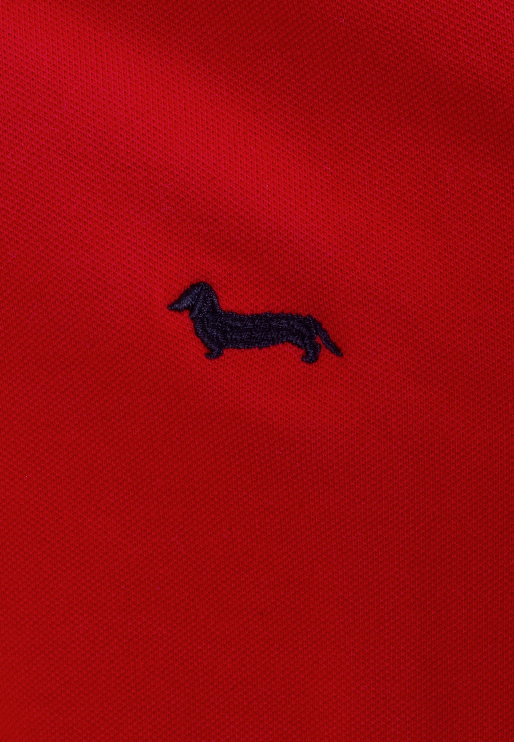 Camiseta Polo Roja H&B.